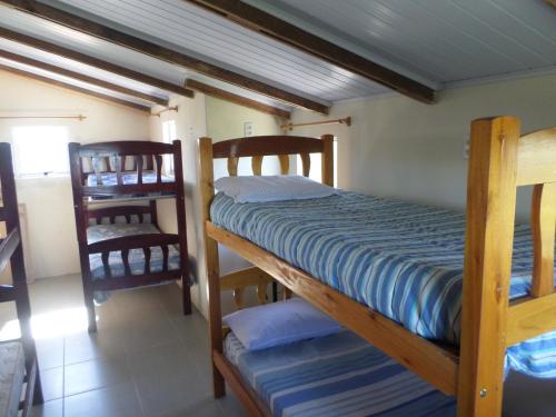 Bed in 6-Bed Mixed Dormitory Room photo 3