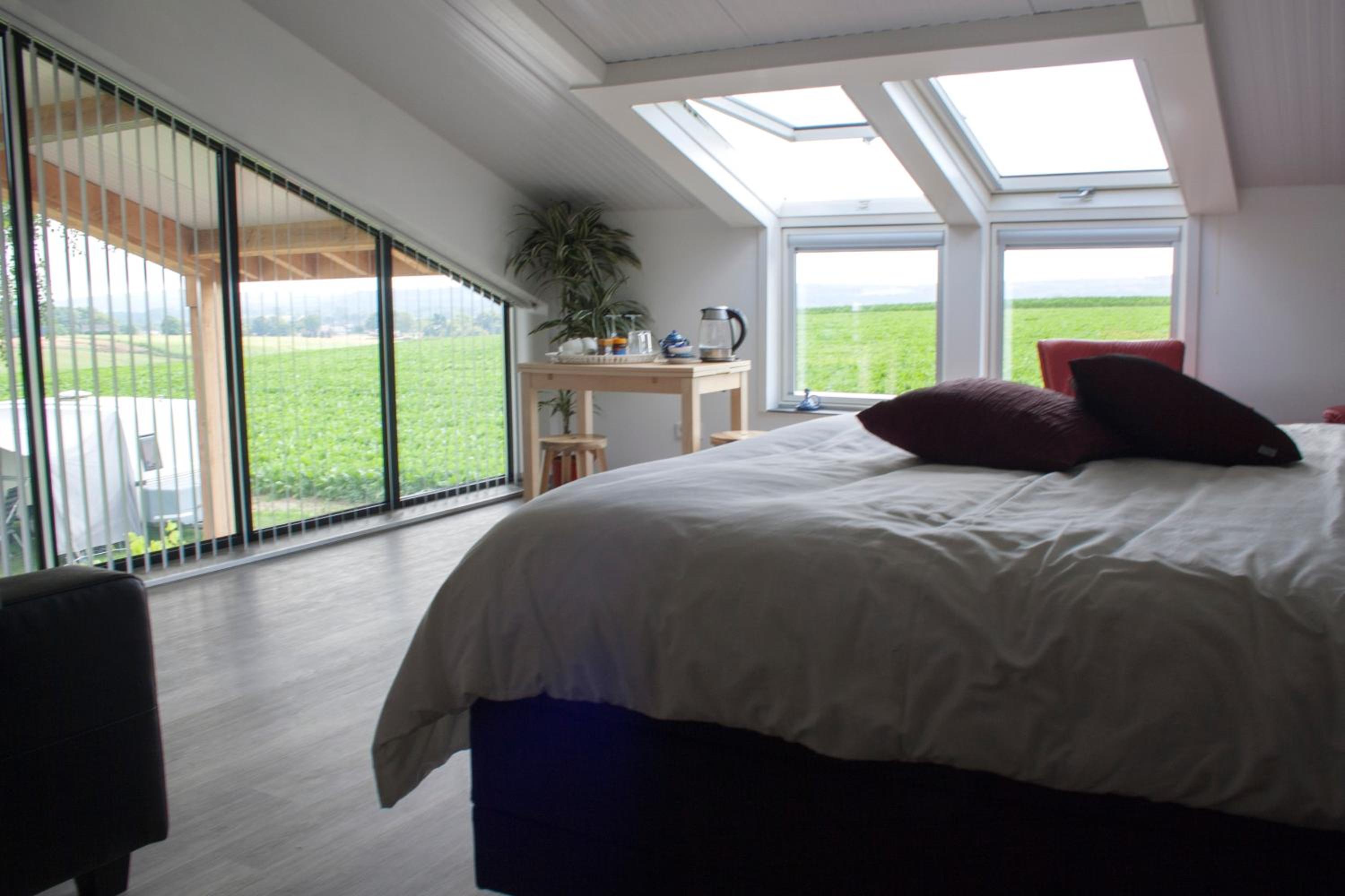 Deluxe Double Room with Shower photo 3