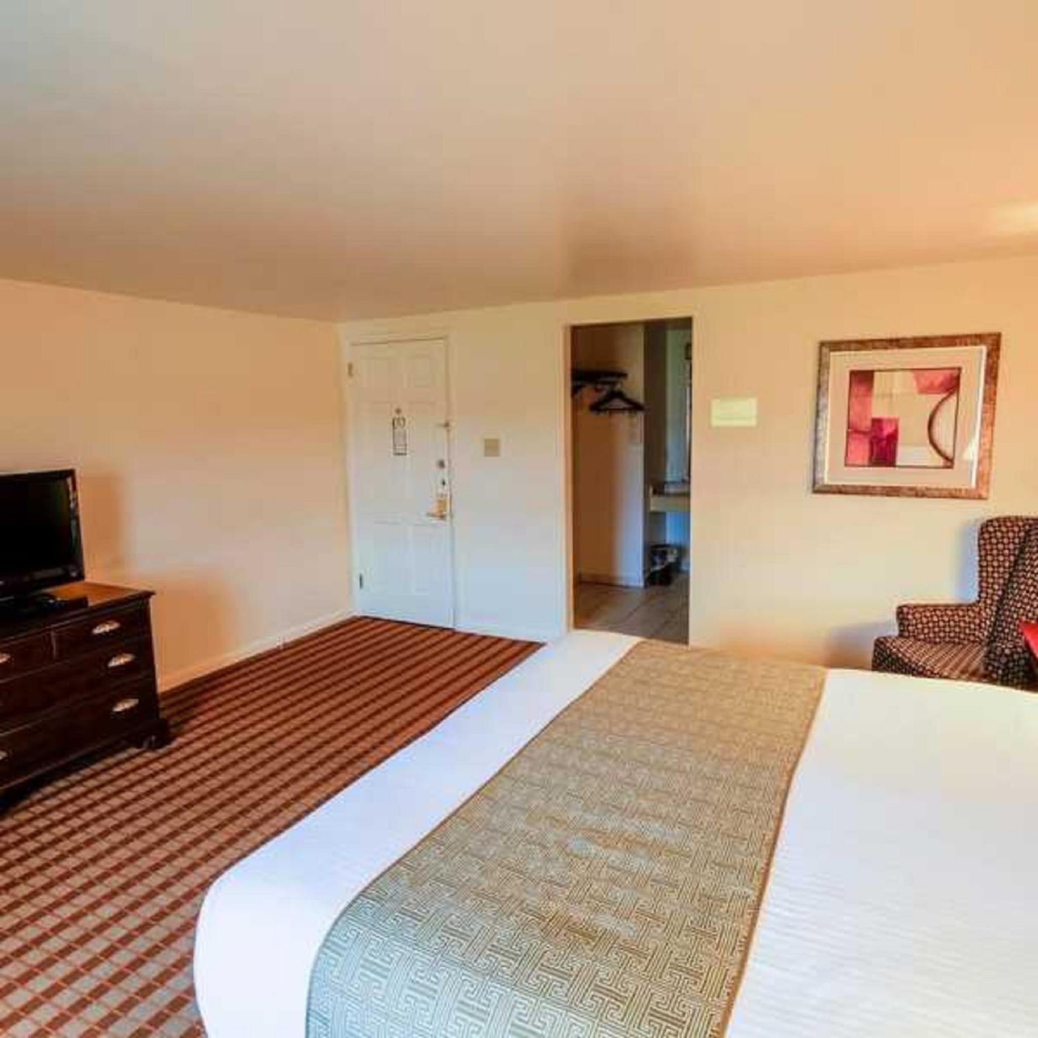 King Room photo 2