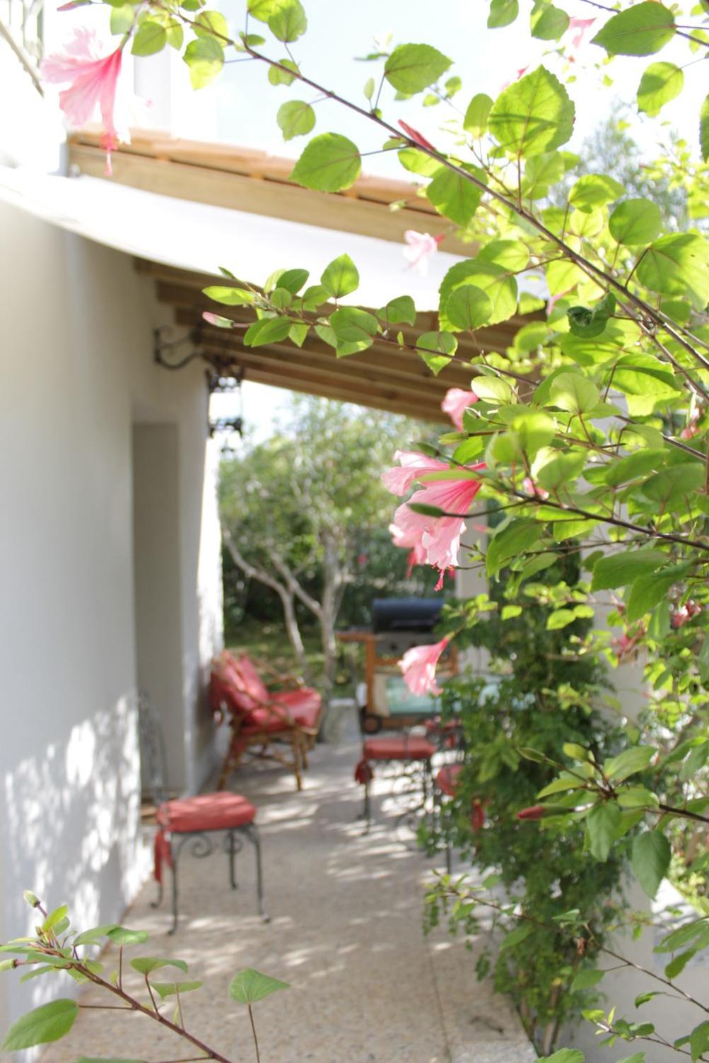 Apartment with Garden View photo 2