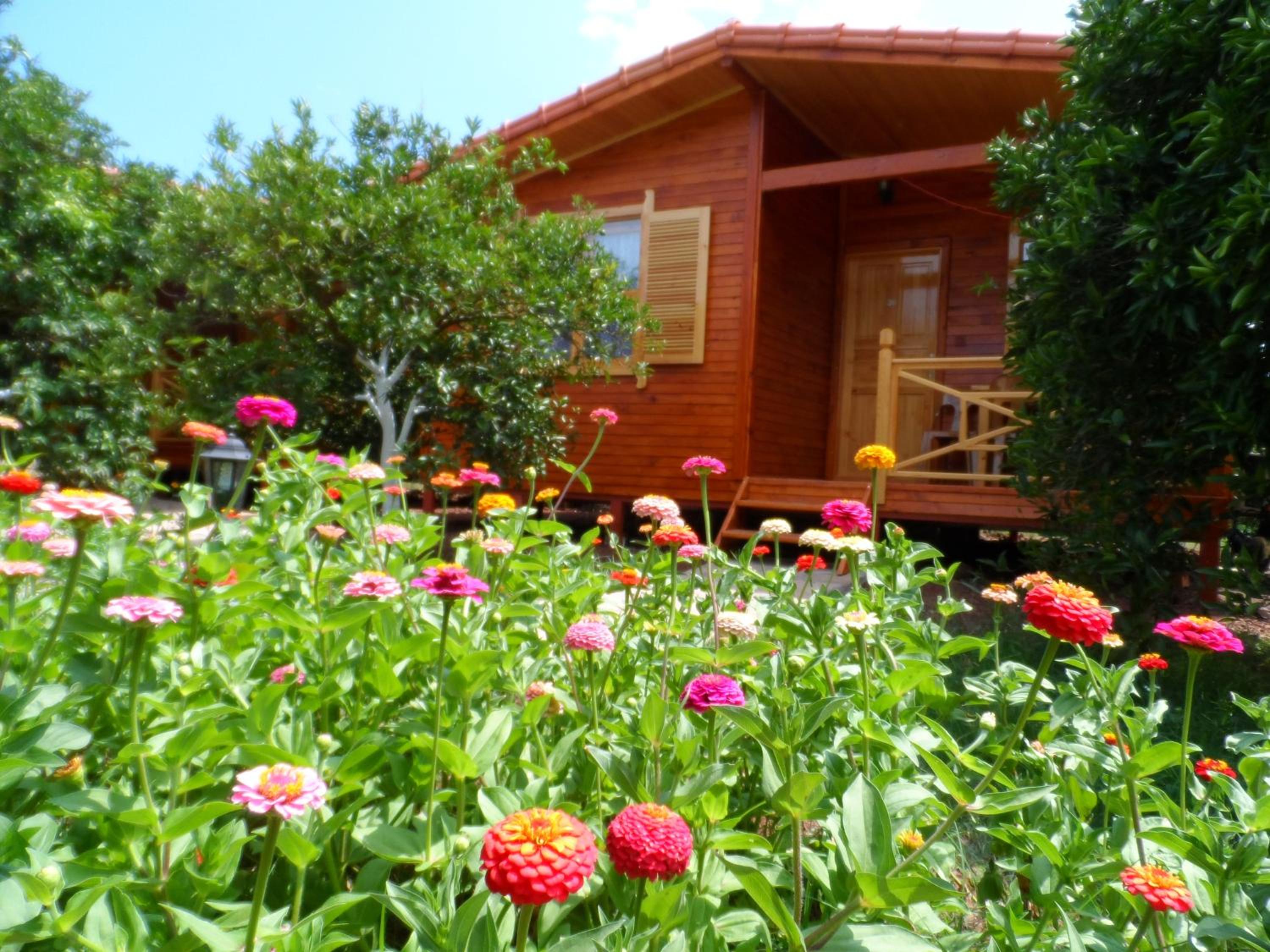 Family Bungalow