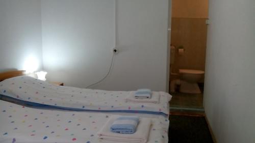 Double or Twin Room photo 3