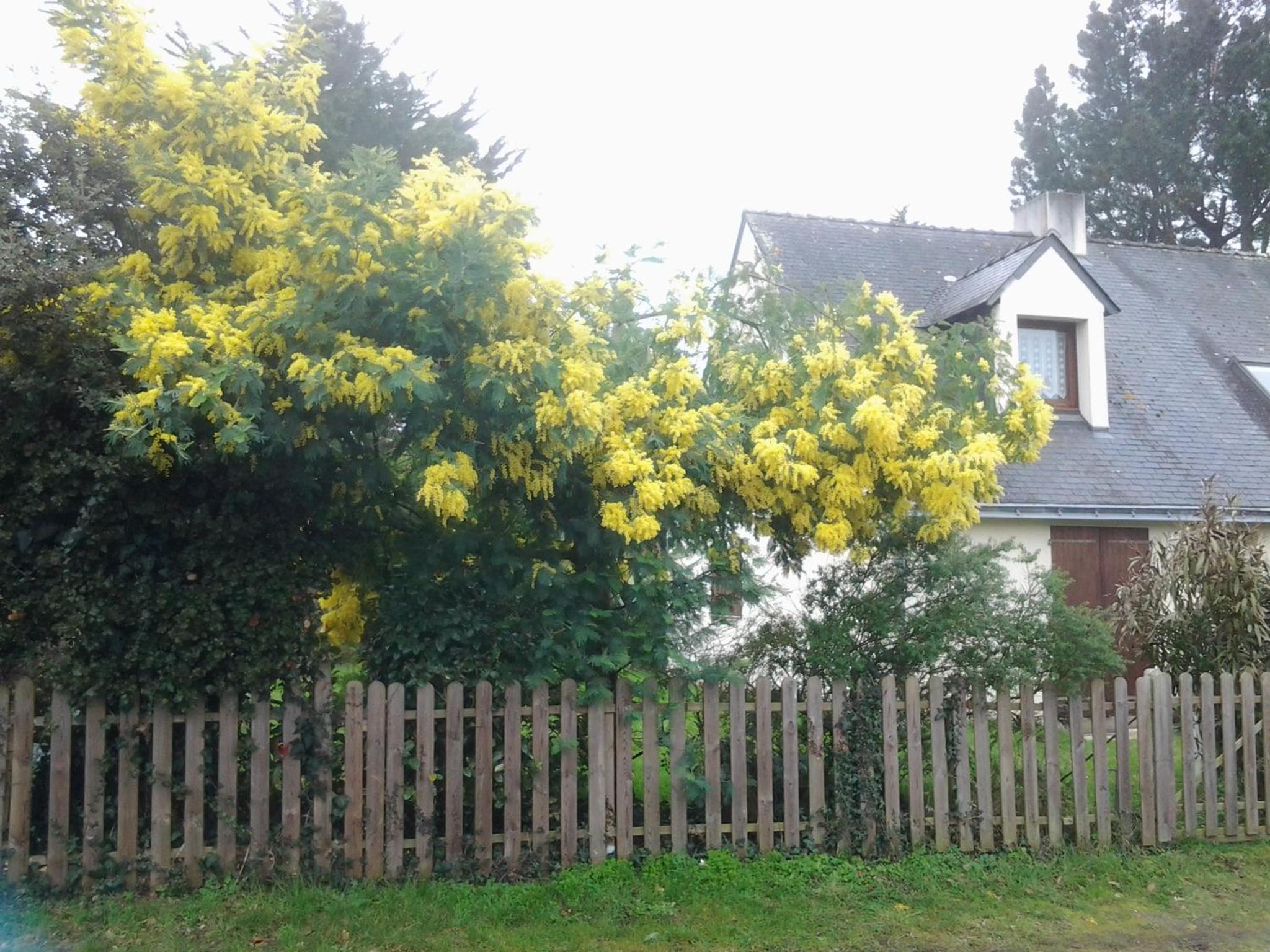 Holiday Home photo 3