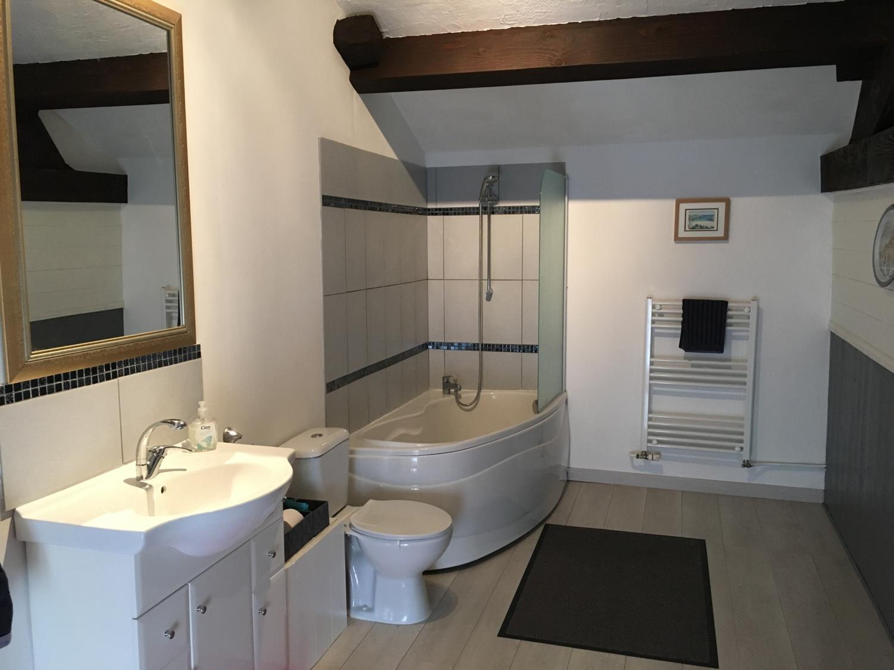 Family Room with Bathroom photo 3