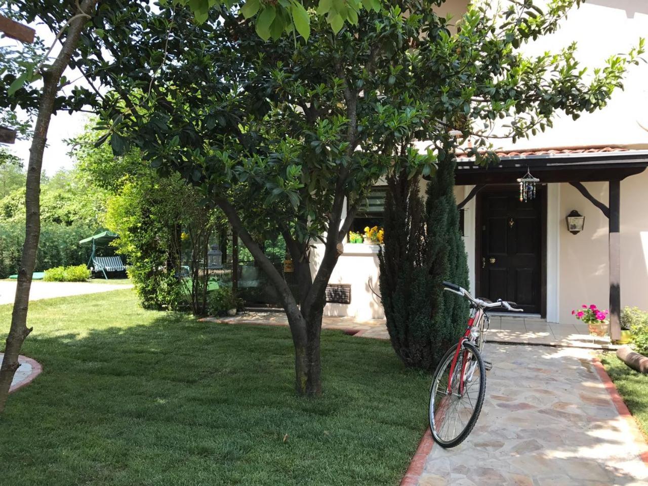 Villa with Garden View