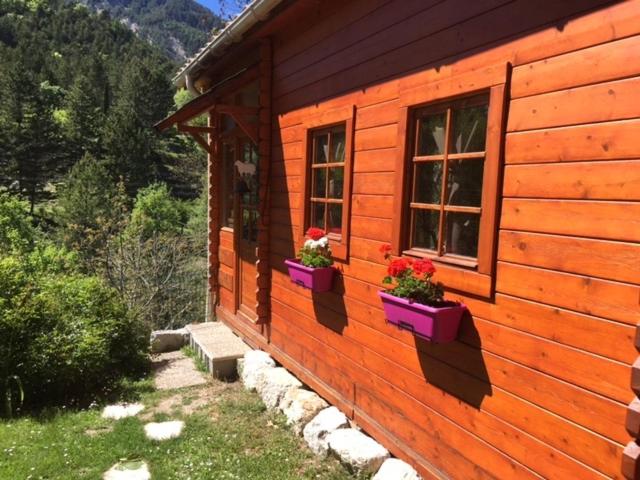 Chalet Family  photo 1
