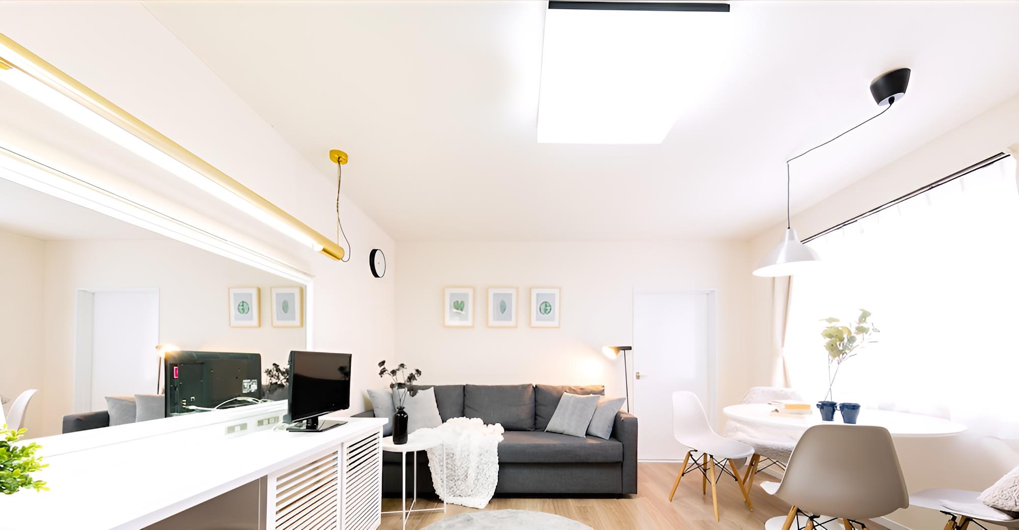 Superior Apartment (5-5)