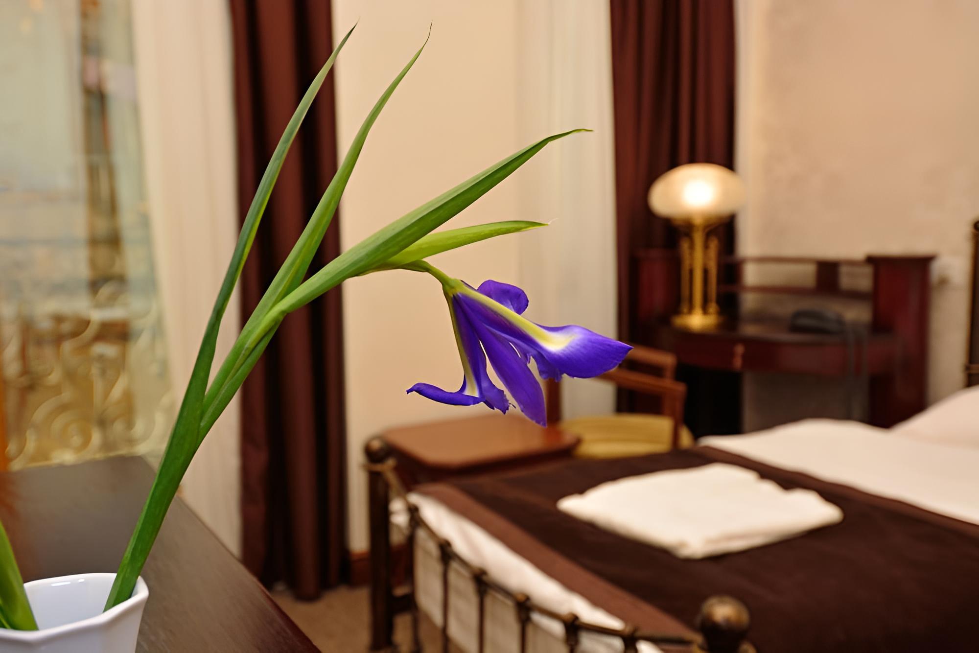 Economy Double Room, City View