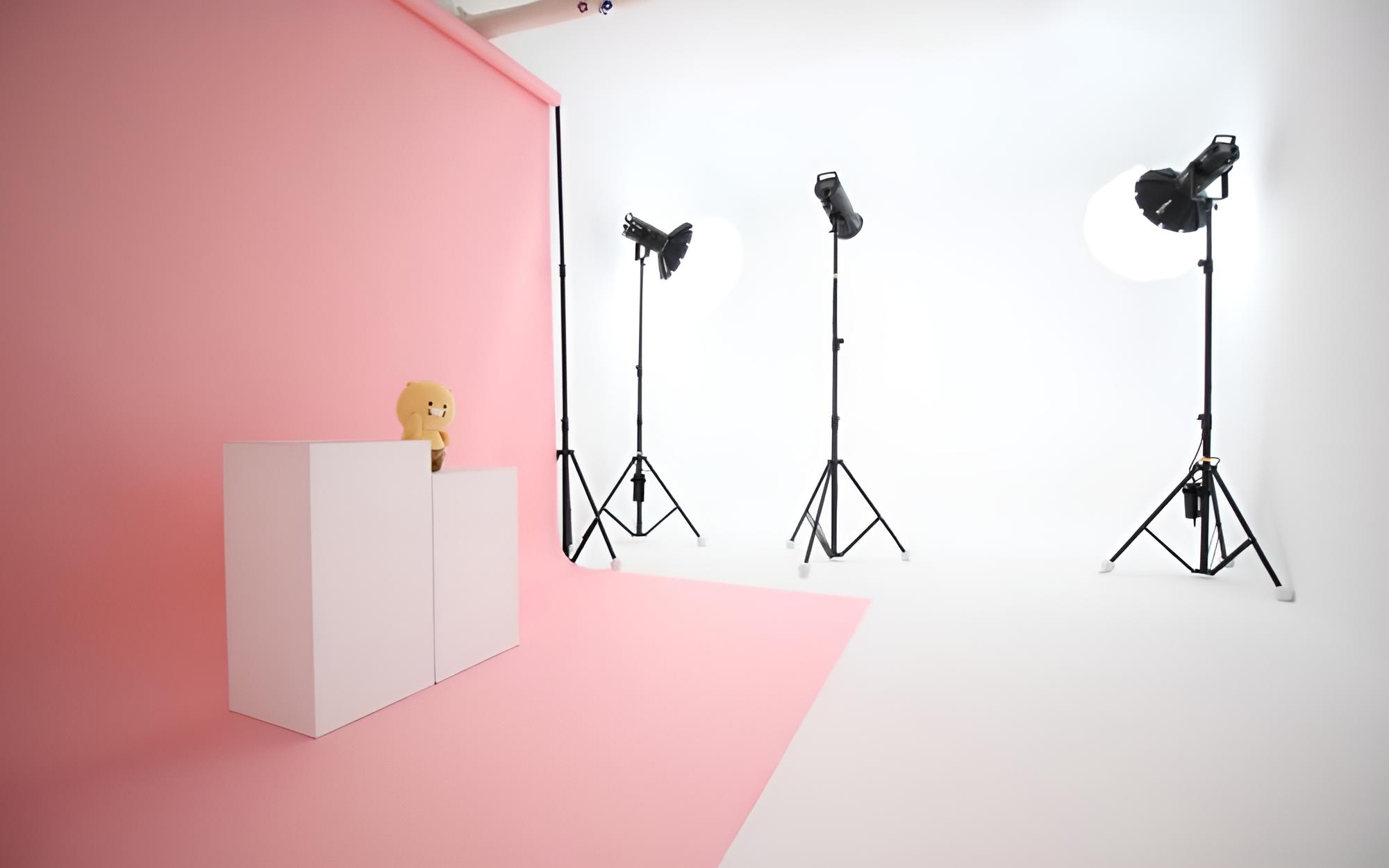 Room (One Room Type 203)