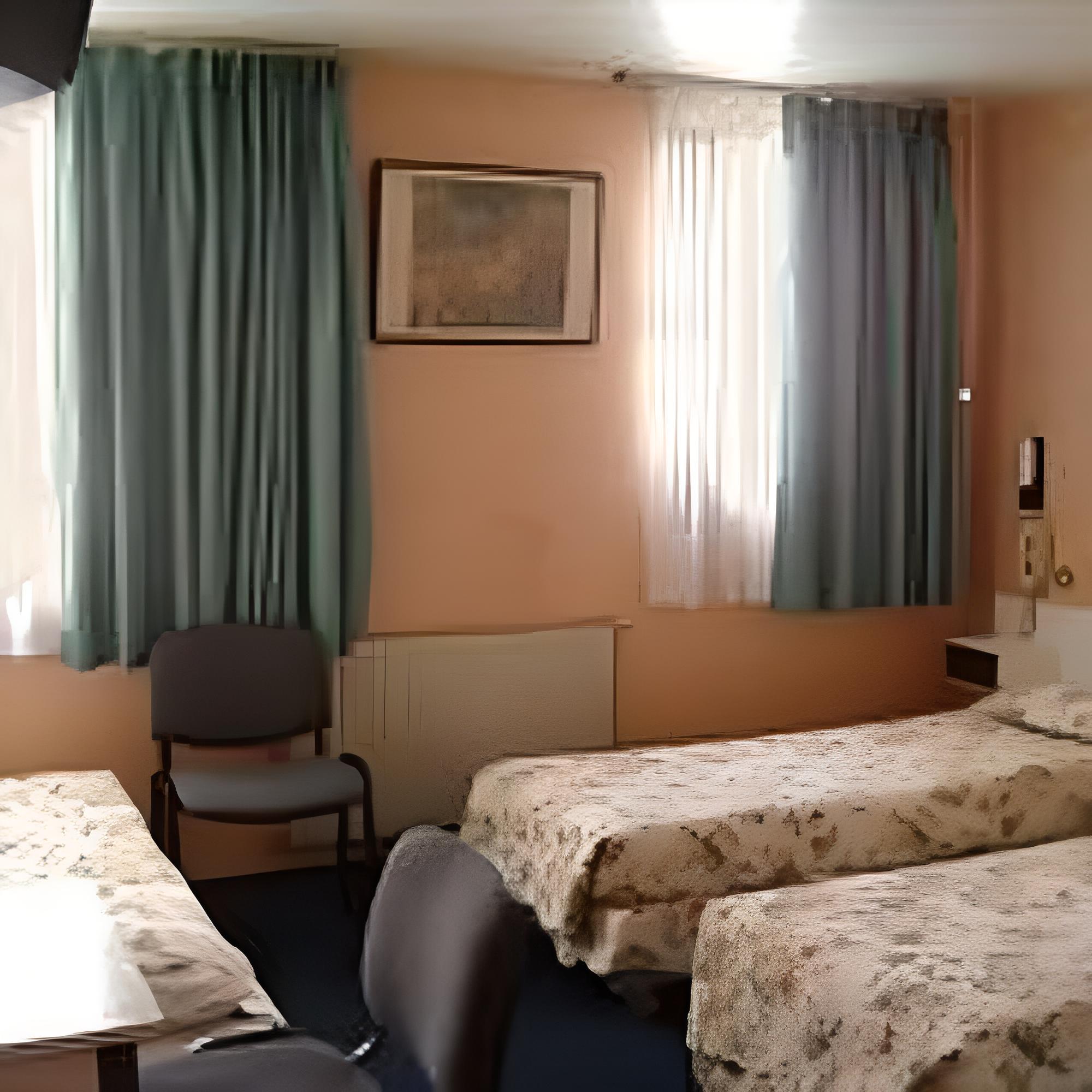 Twin Room photo 2