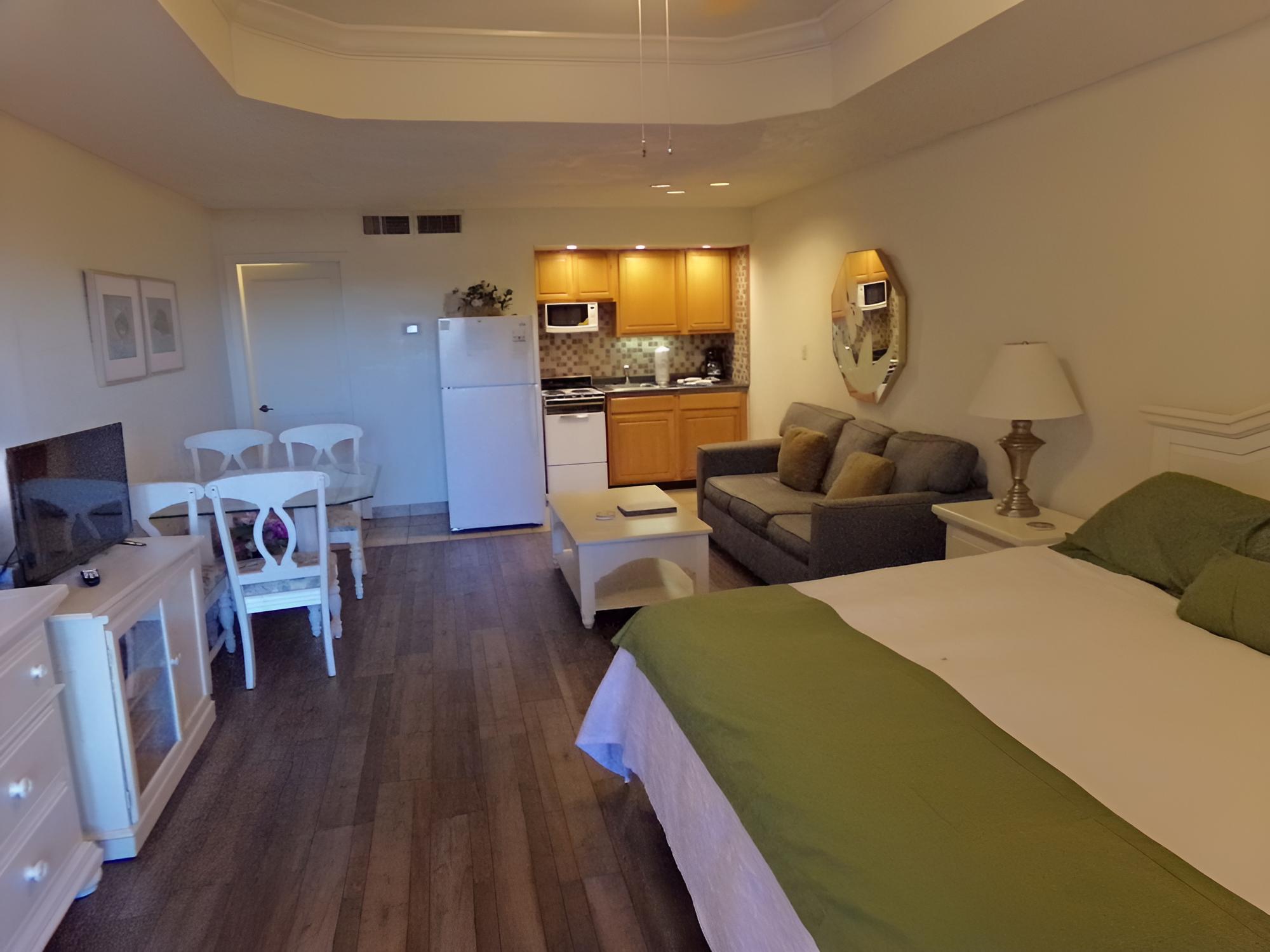 Unit 140 - Studio Condominium photo 3