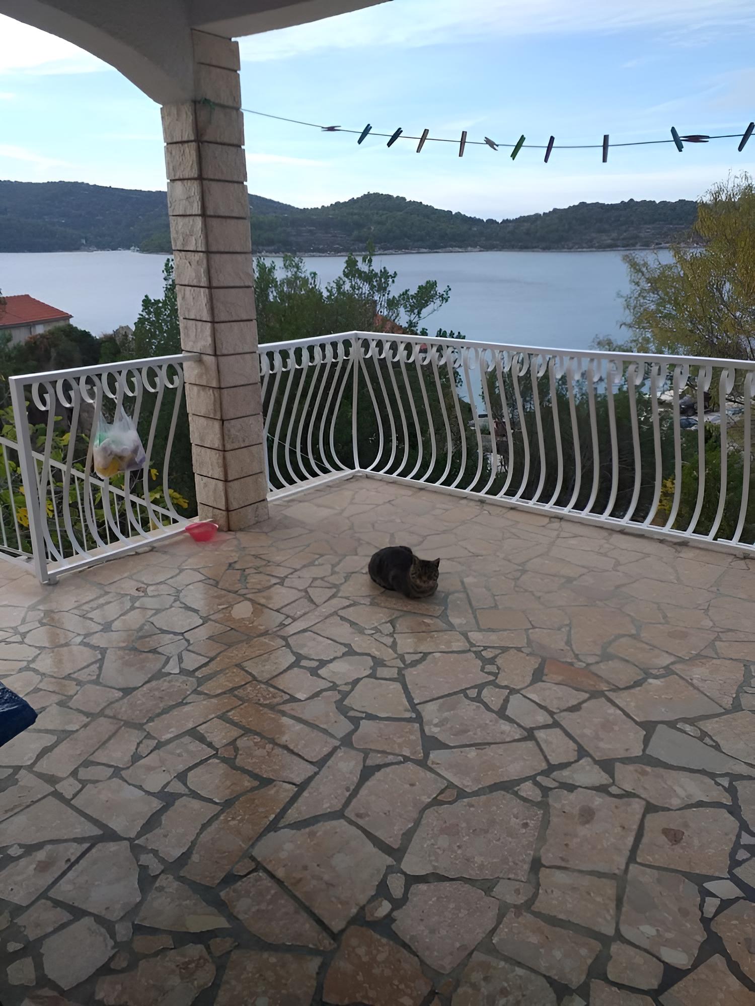 Apartment (Mirjana - A1(2+1))