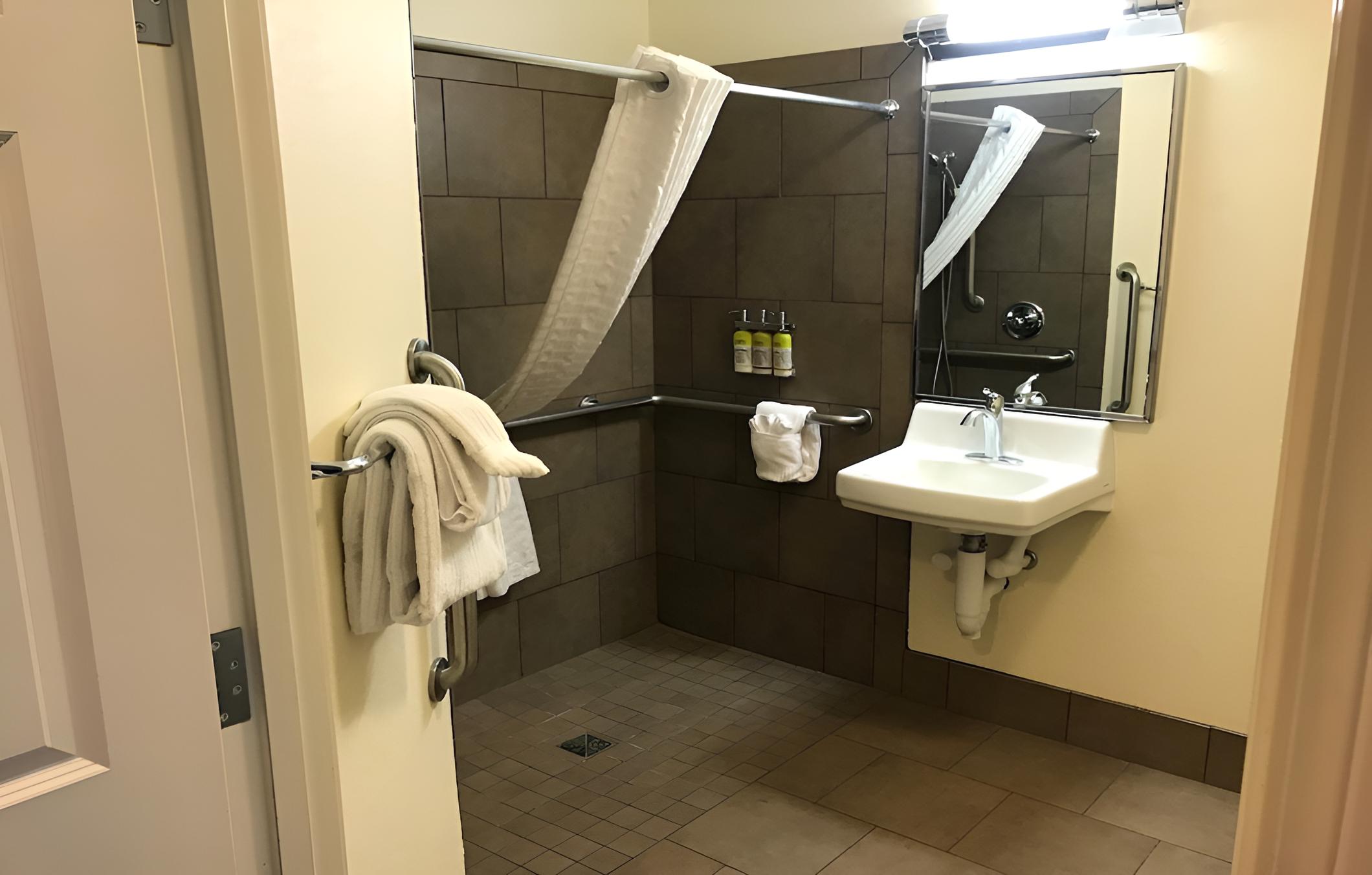 Studio Suite, 1 Queen Bed, Accessible