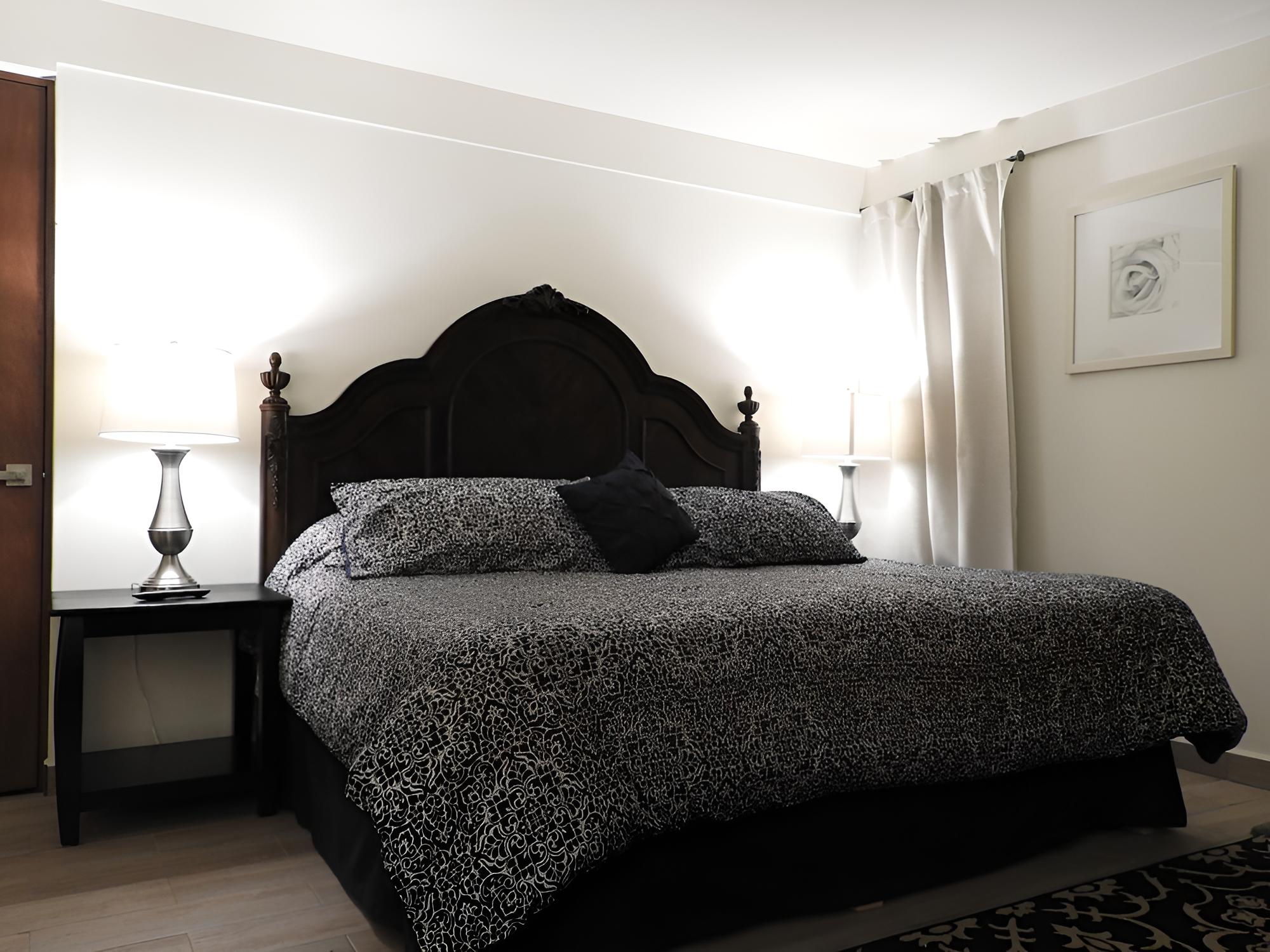 Elite Room, 1 King Bed with Sofa bed