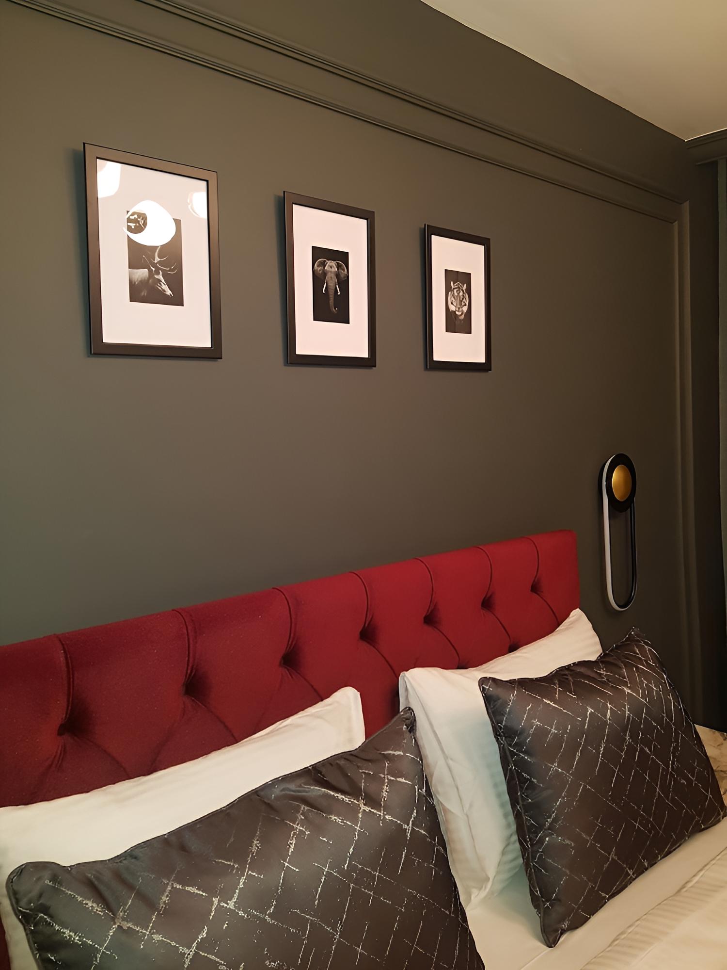 Deluxe Double or Twin Room photo 3