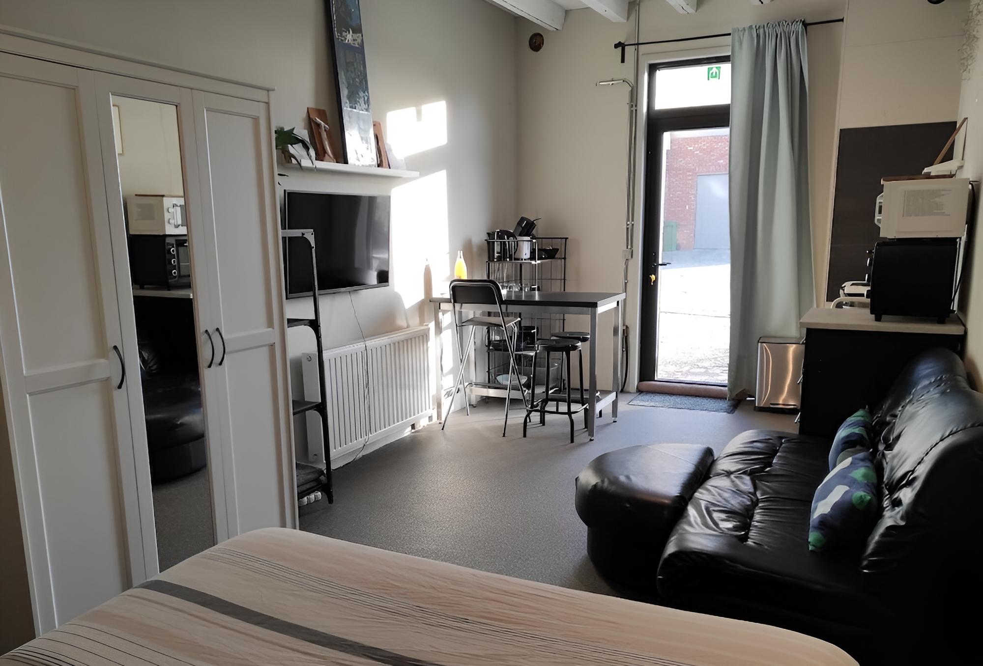 Deluxe Studio, 1 Queen Bed photo 3