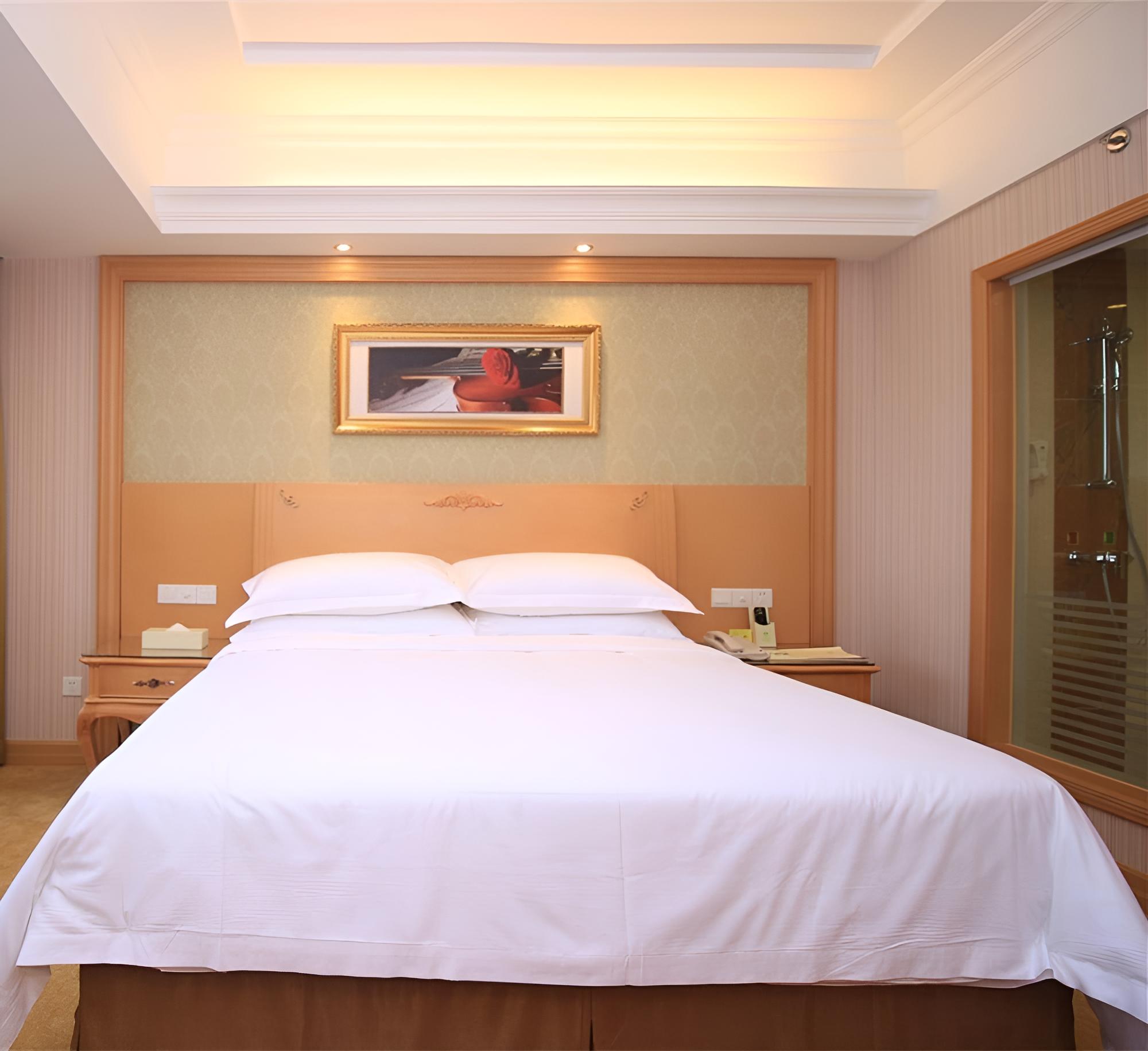 Standard Double Room, Non Smoking, No Windows