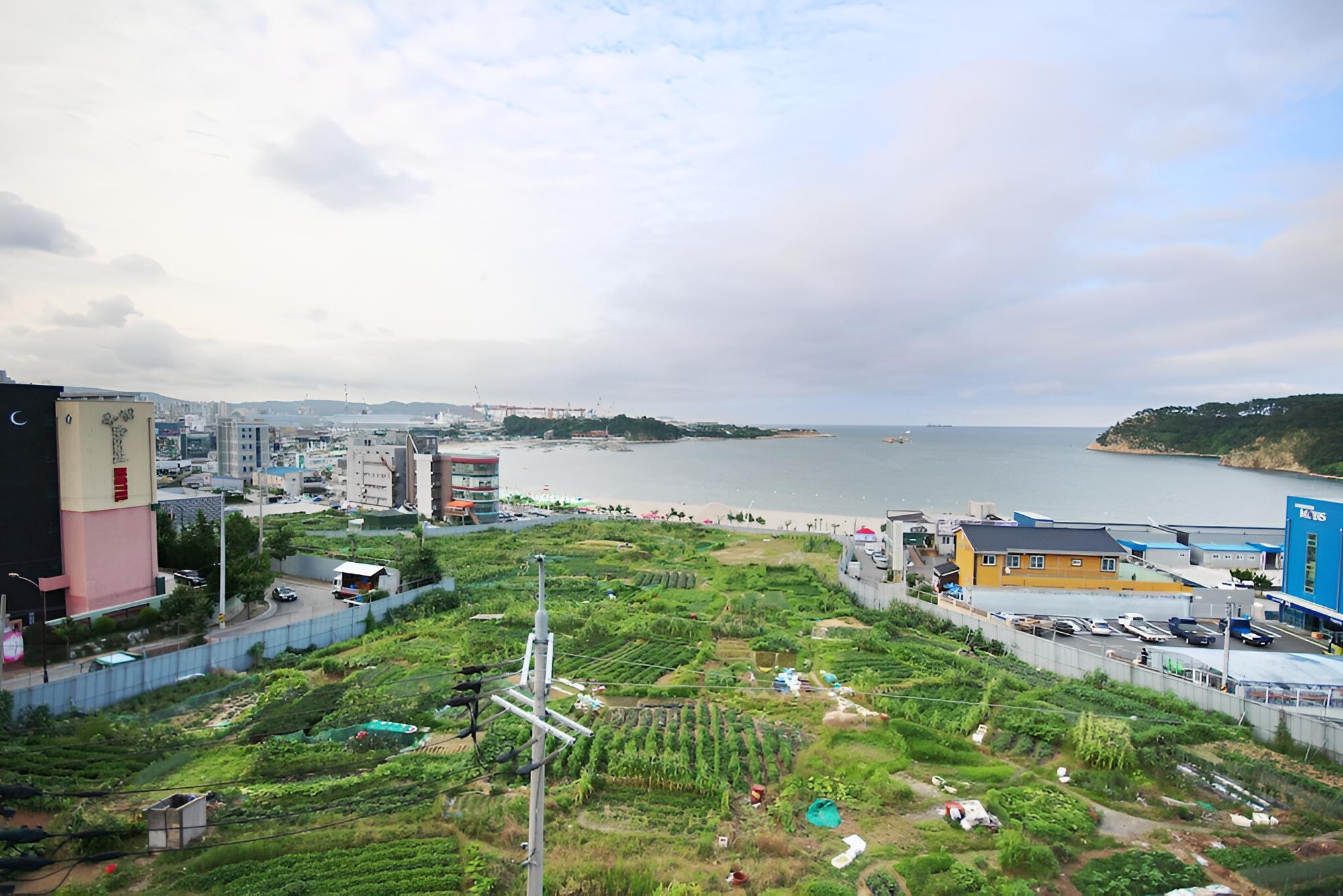 Room (VIP (Ocean View))