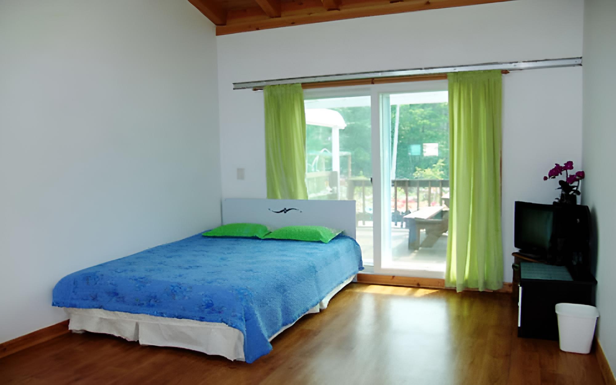 Room (Wild Siberian Gooseberry)