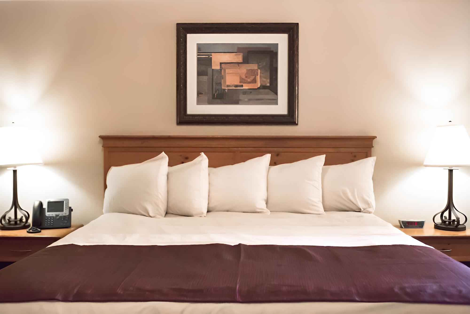 Suite, 1 King Bed with Sofa bed