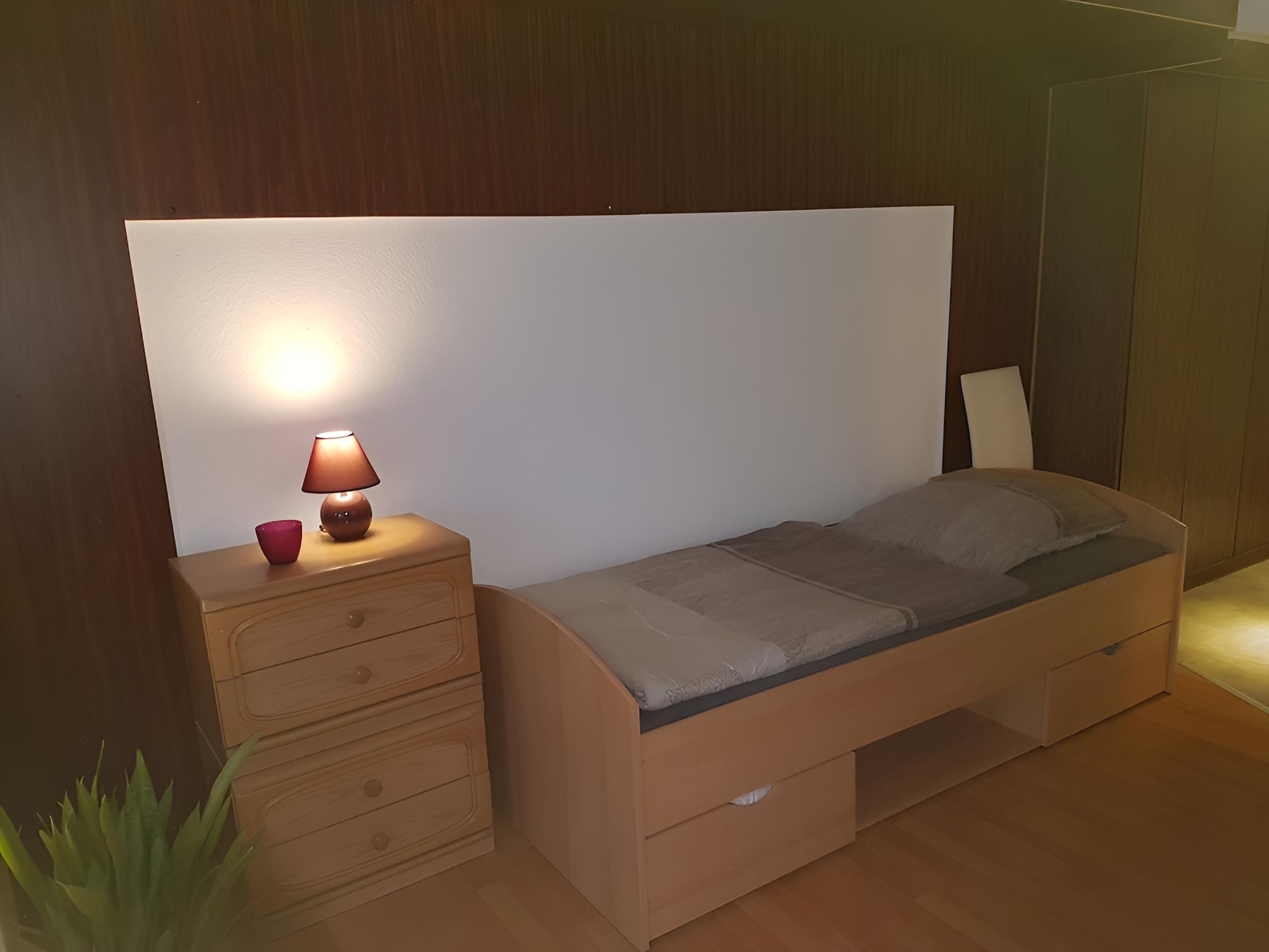 Basic Apartment photo 3
