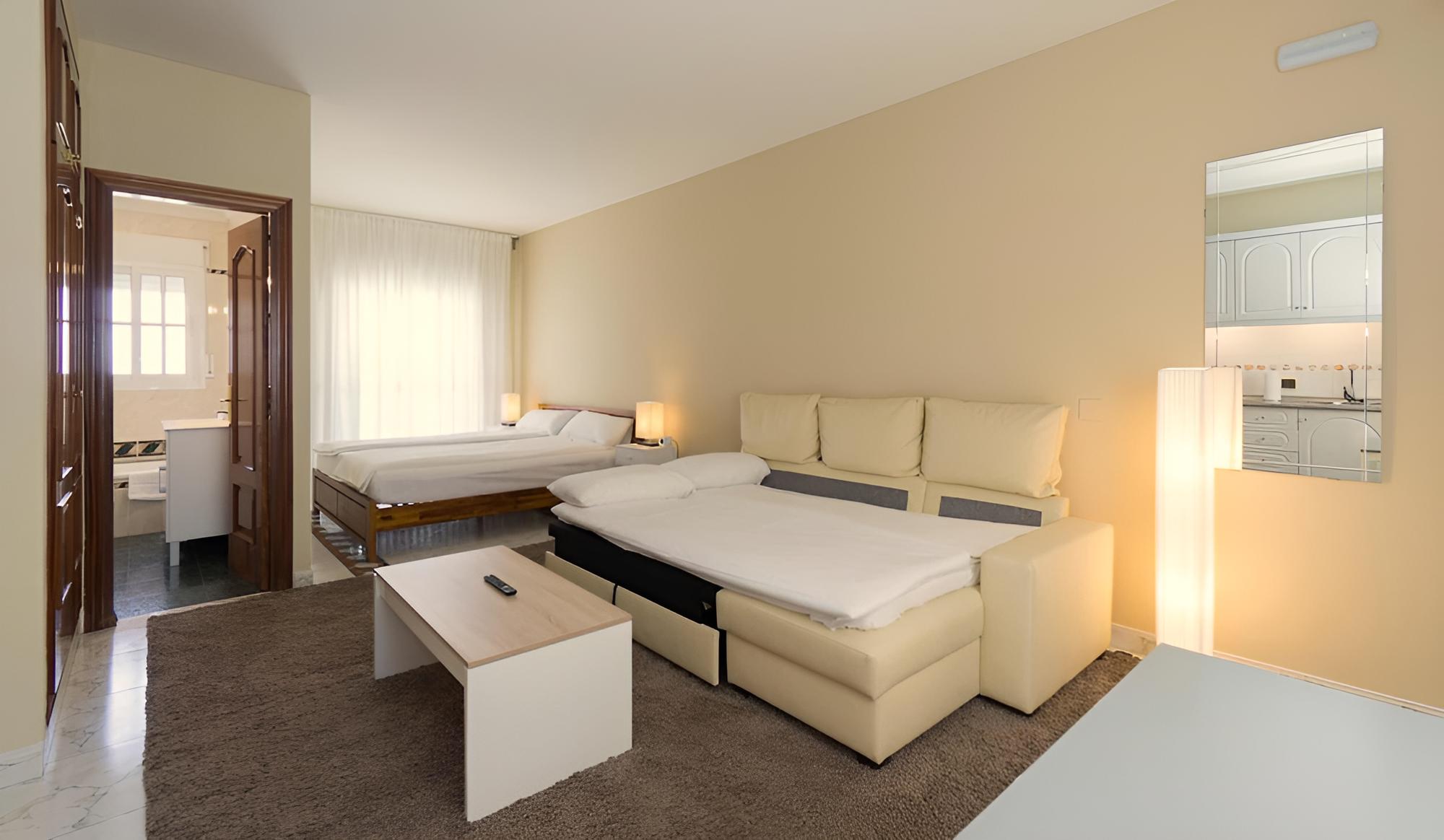 Deluxe Studio, 1 King Bed with Sofa bed photo 3