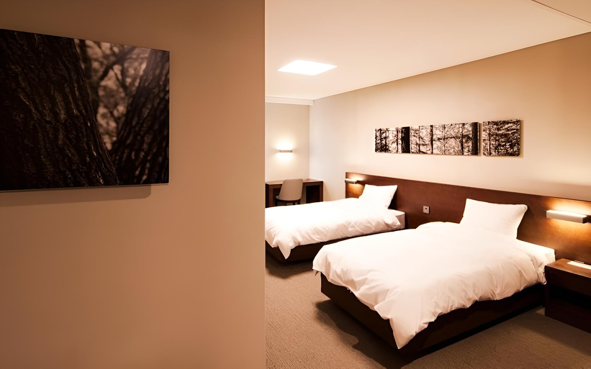 Room (Standard Twin (Super Deal Mountain Vi)