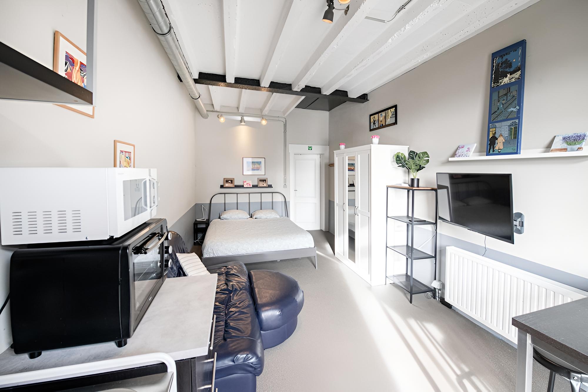 Deluxe Studio, 1 Queen Bed photo 2