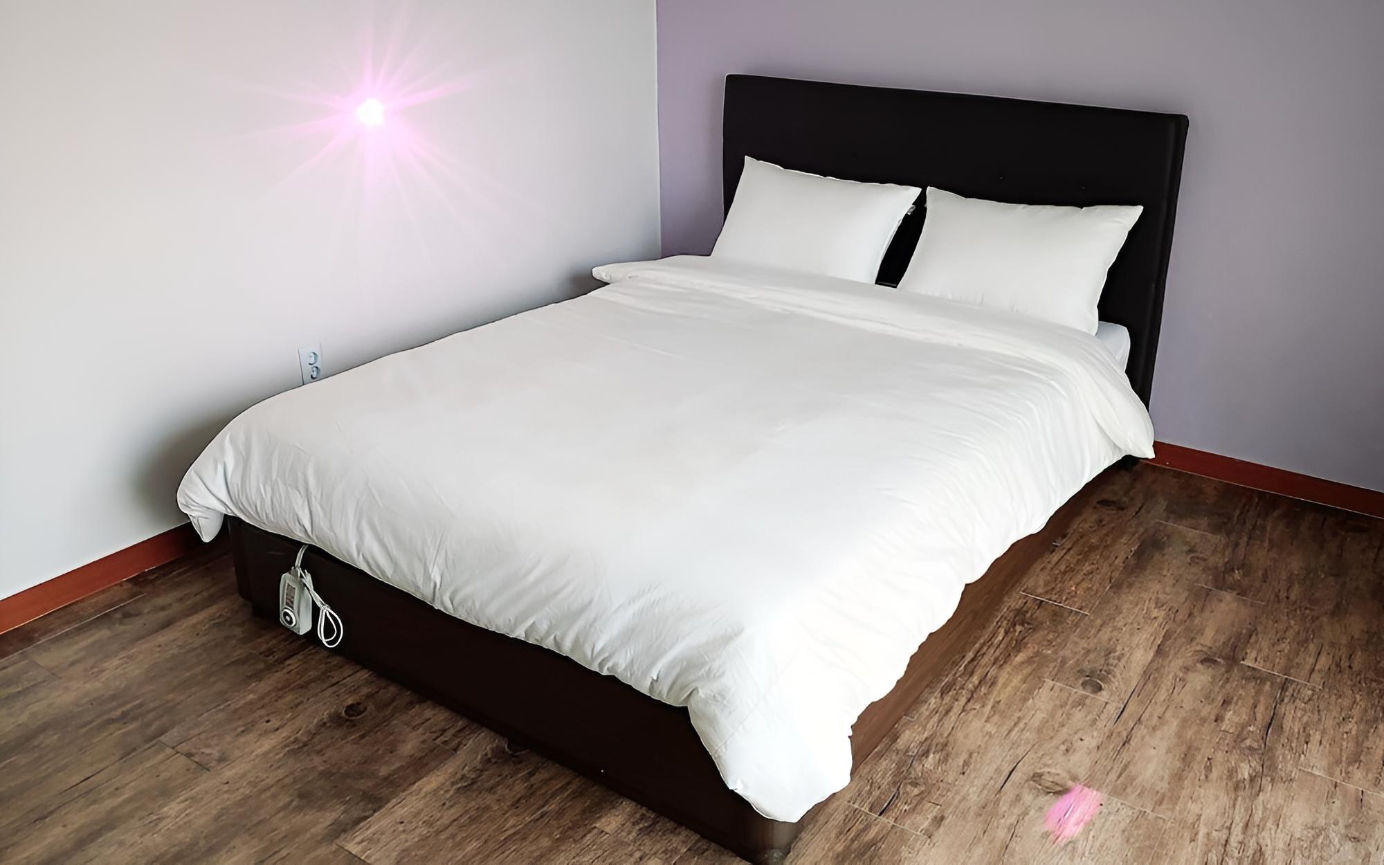 Room (Standard B (bed barbecue dogs allowed) photo 1