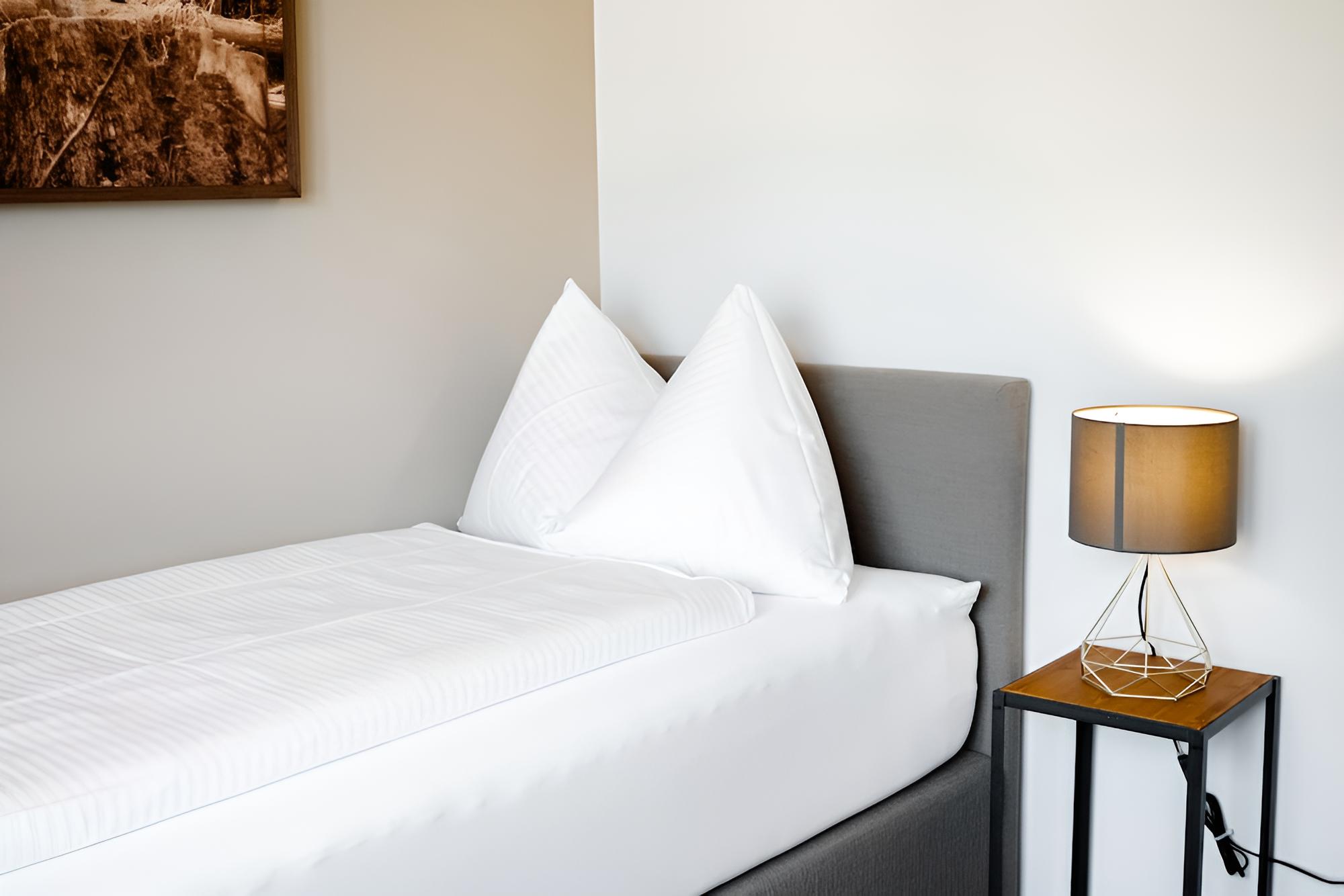Basic Single Room, 1 Twin Bed, Non Smoking, City View photo 2