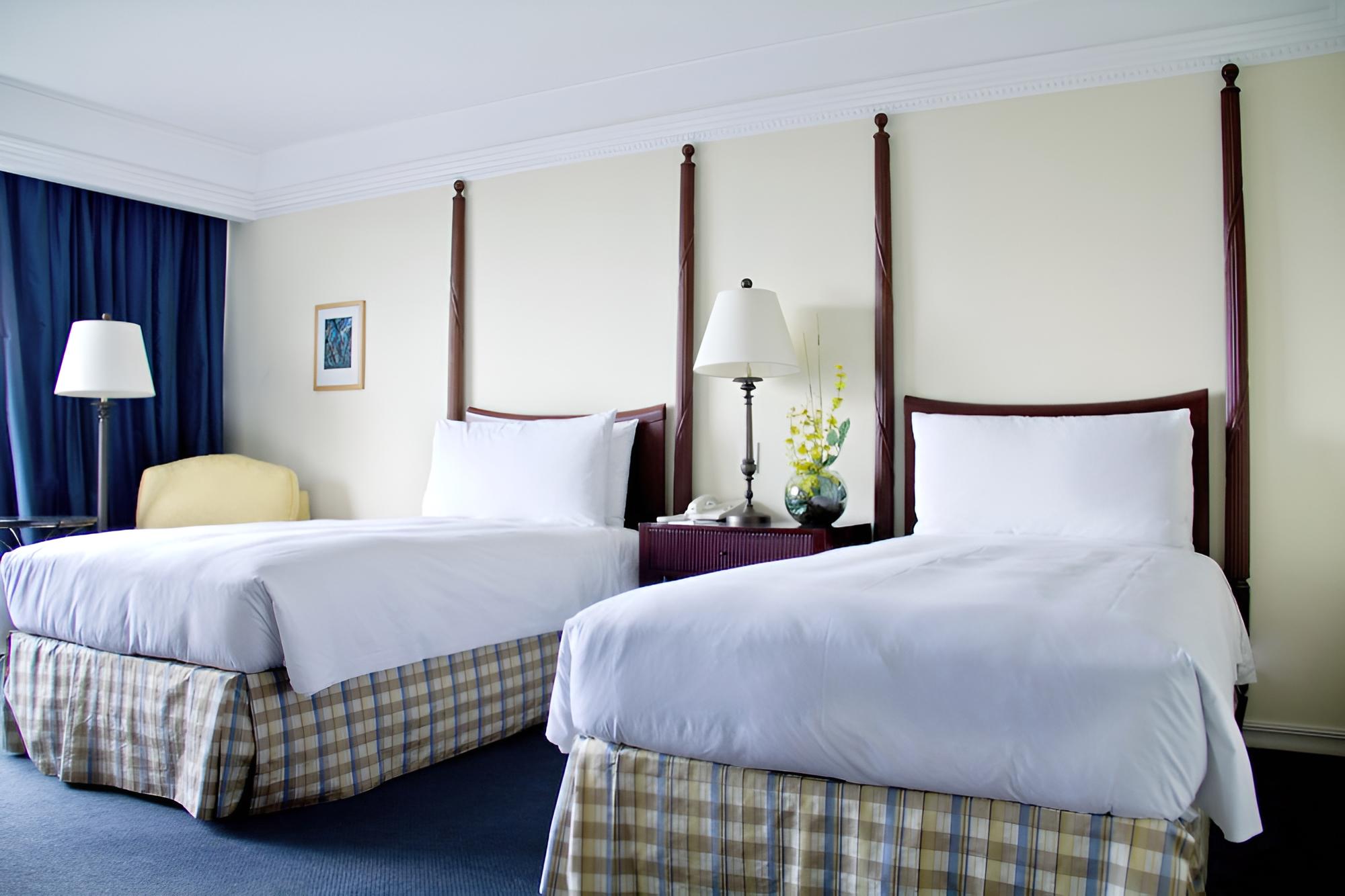 Deluxe Twin Room photo 1