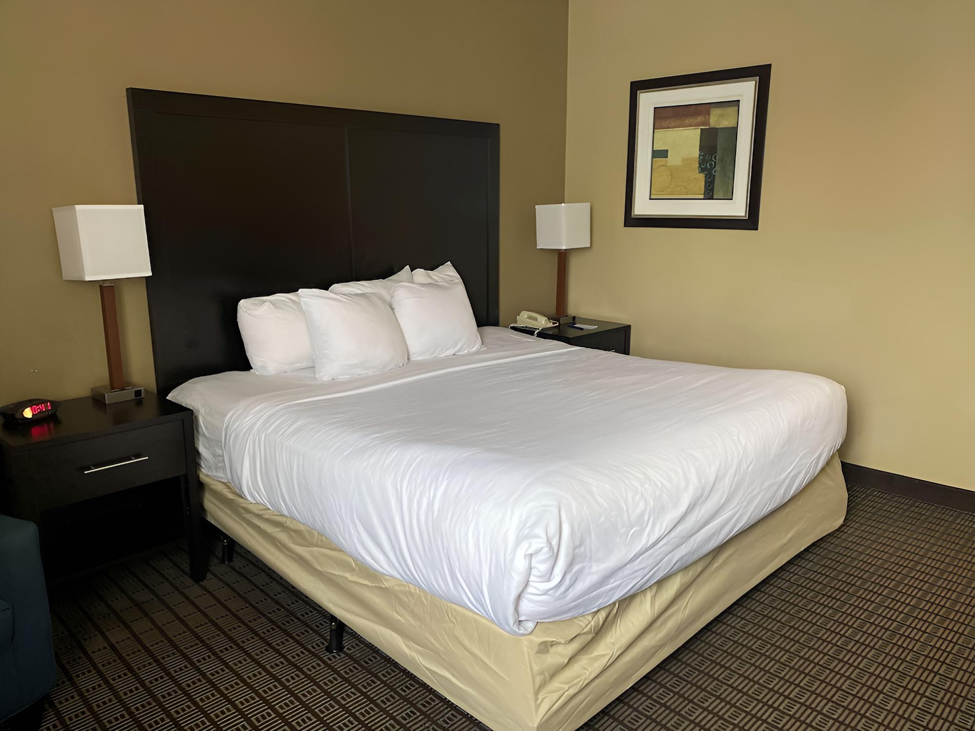 Standard Room, 1 King Bed, Non Smoking, Refrigerator & Microwave