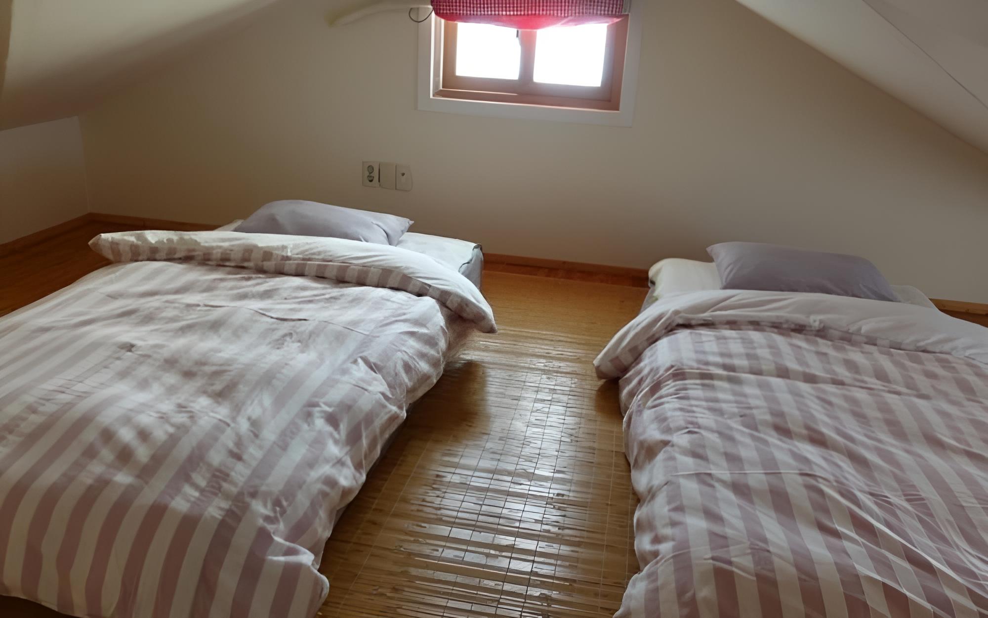 Room (Grape Room)