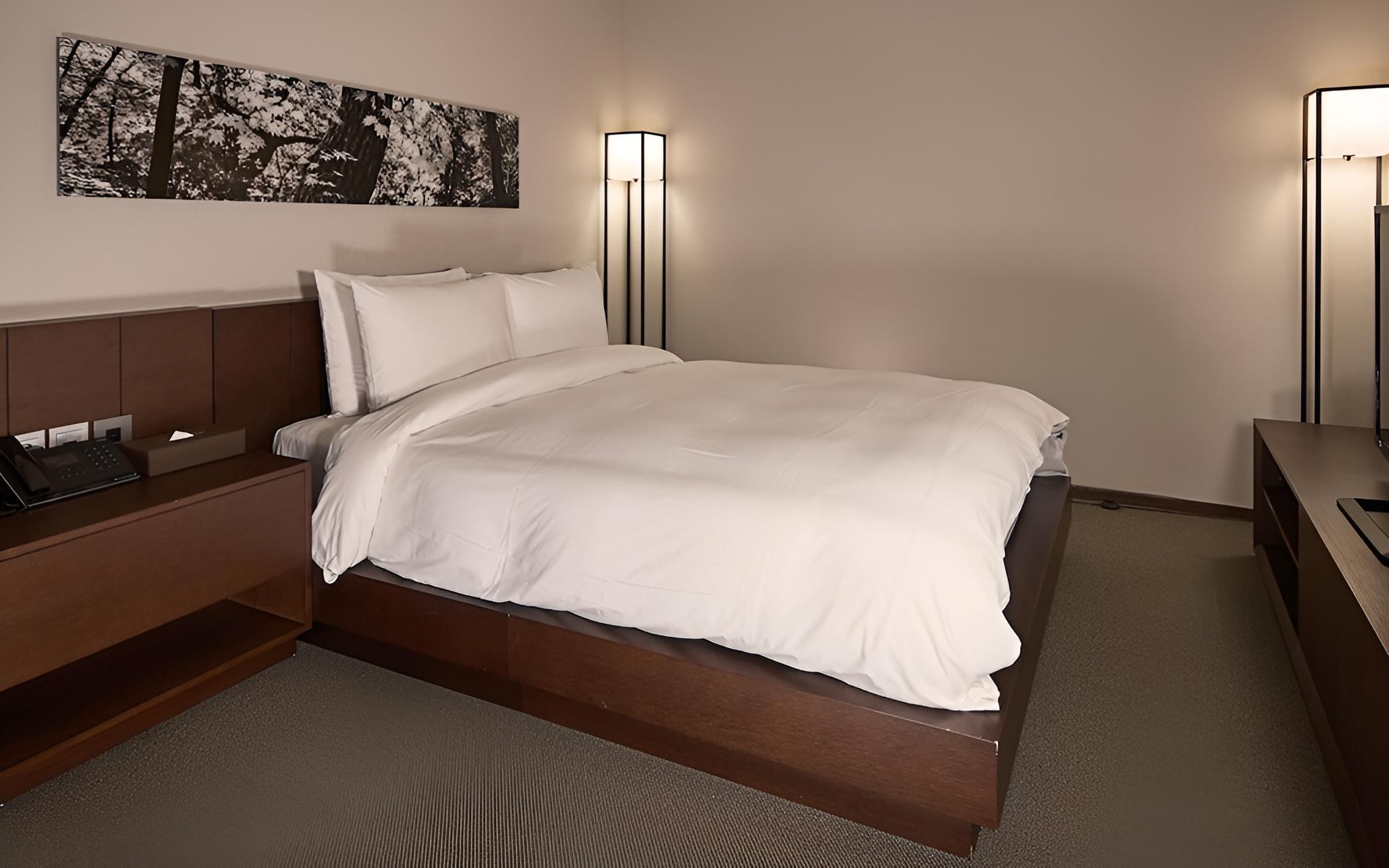 Room (Corner Double (Mountain View))