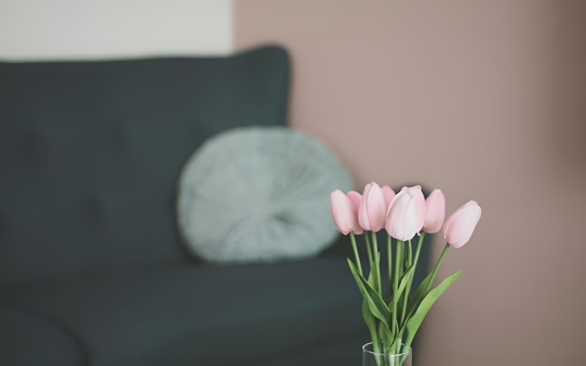 Room (Cozy (family bedroom))