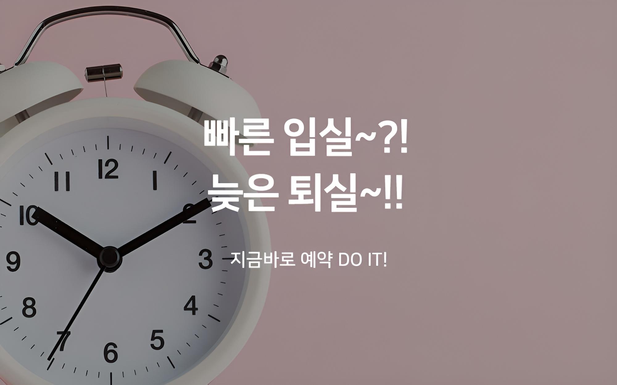 Room (Early check-in + late check-out (Netf)