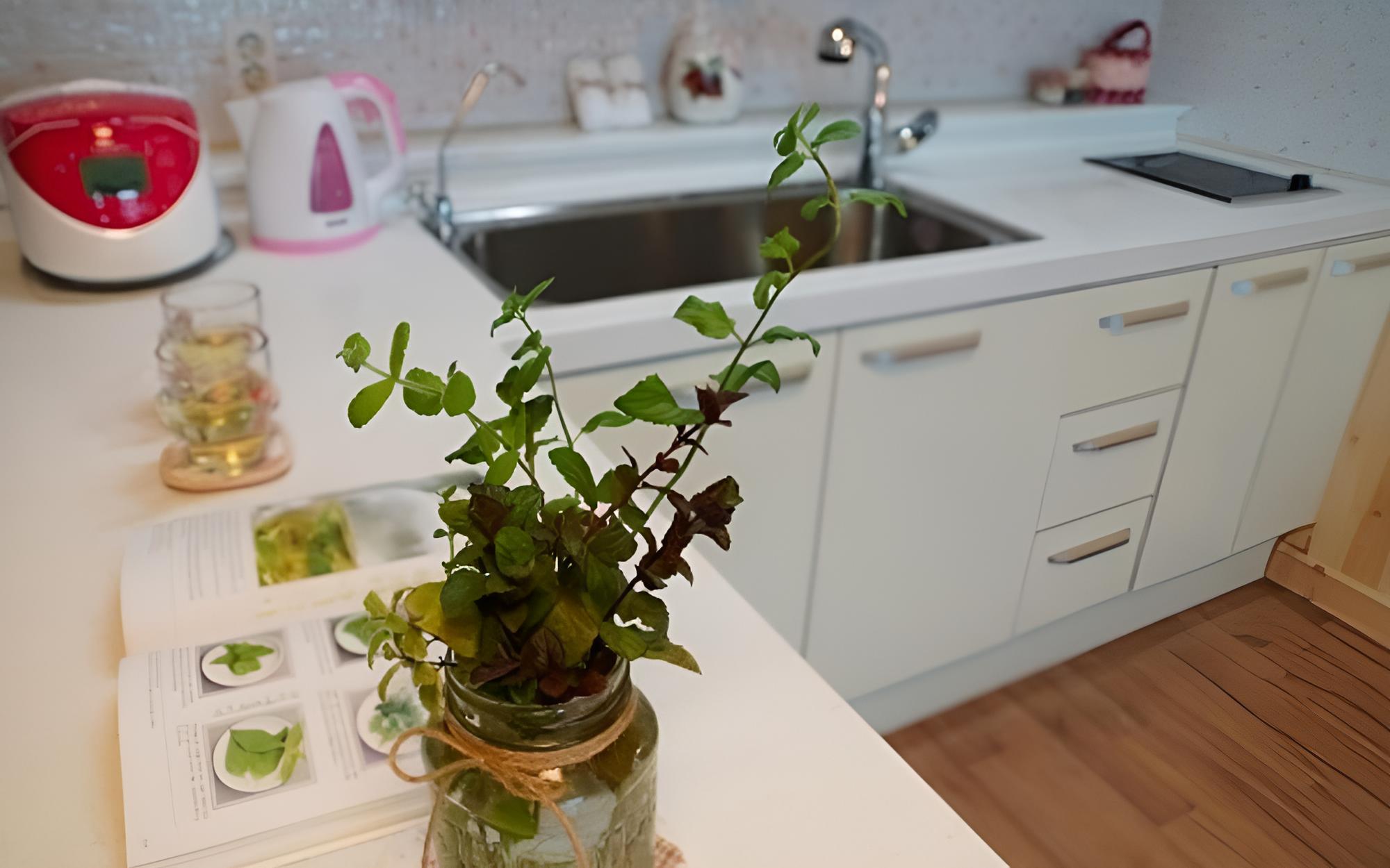 Room (Cherry Sage) - Photo 2