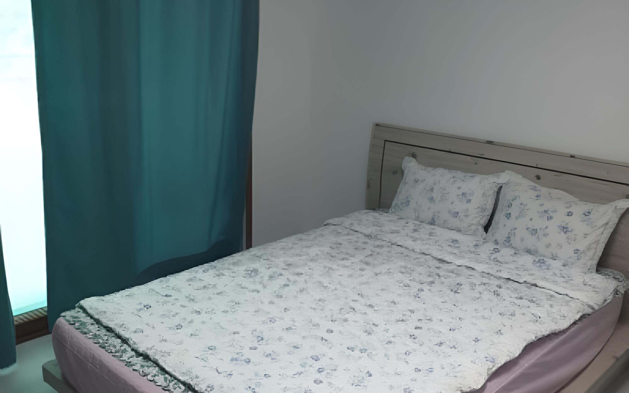 Room (Bed Room-301)