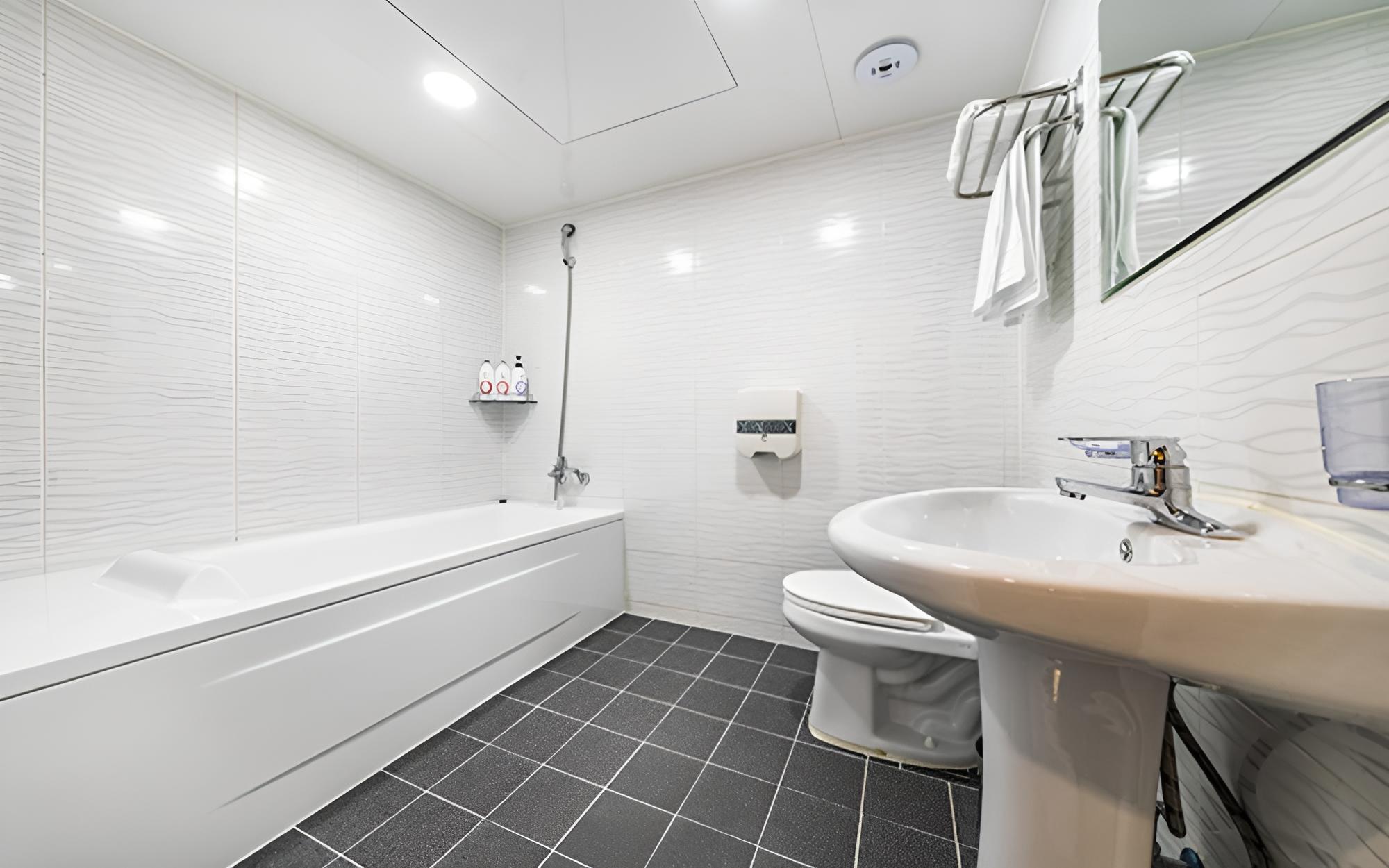 Room (Deluxe room (bathtub Netflix viewing )