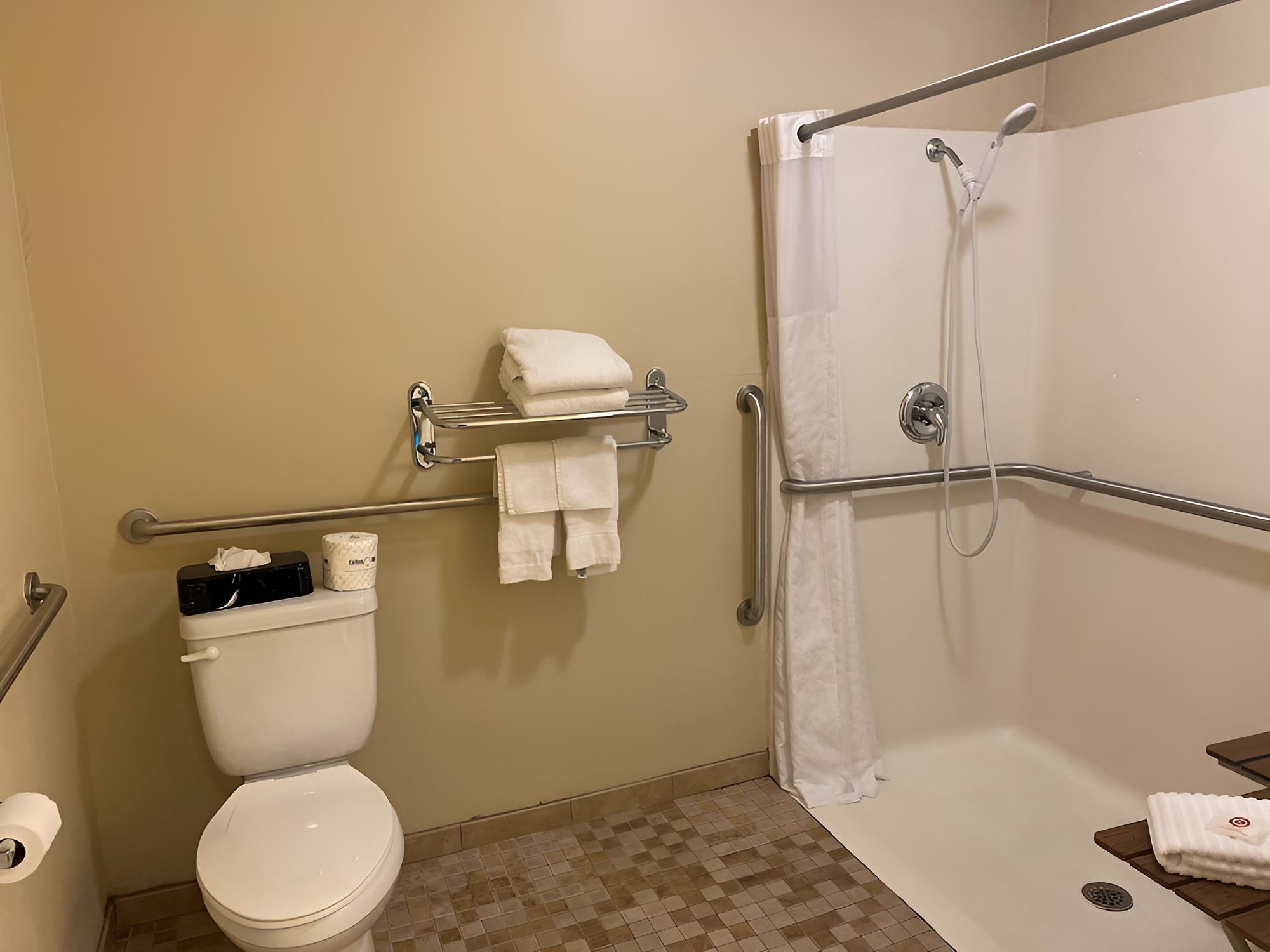 Standard Room, 1 King Bed, Accessible, Non Smoking