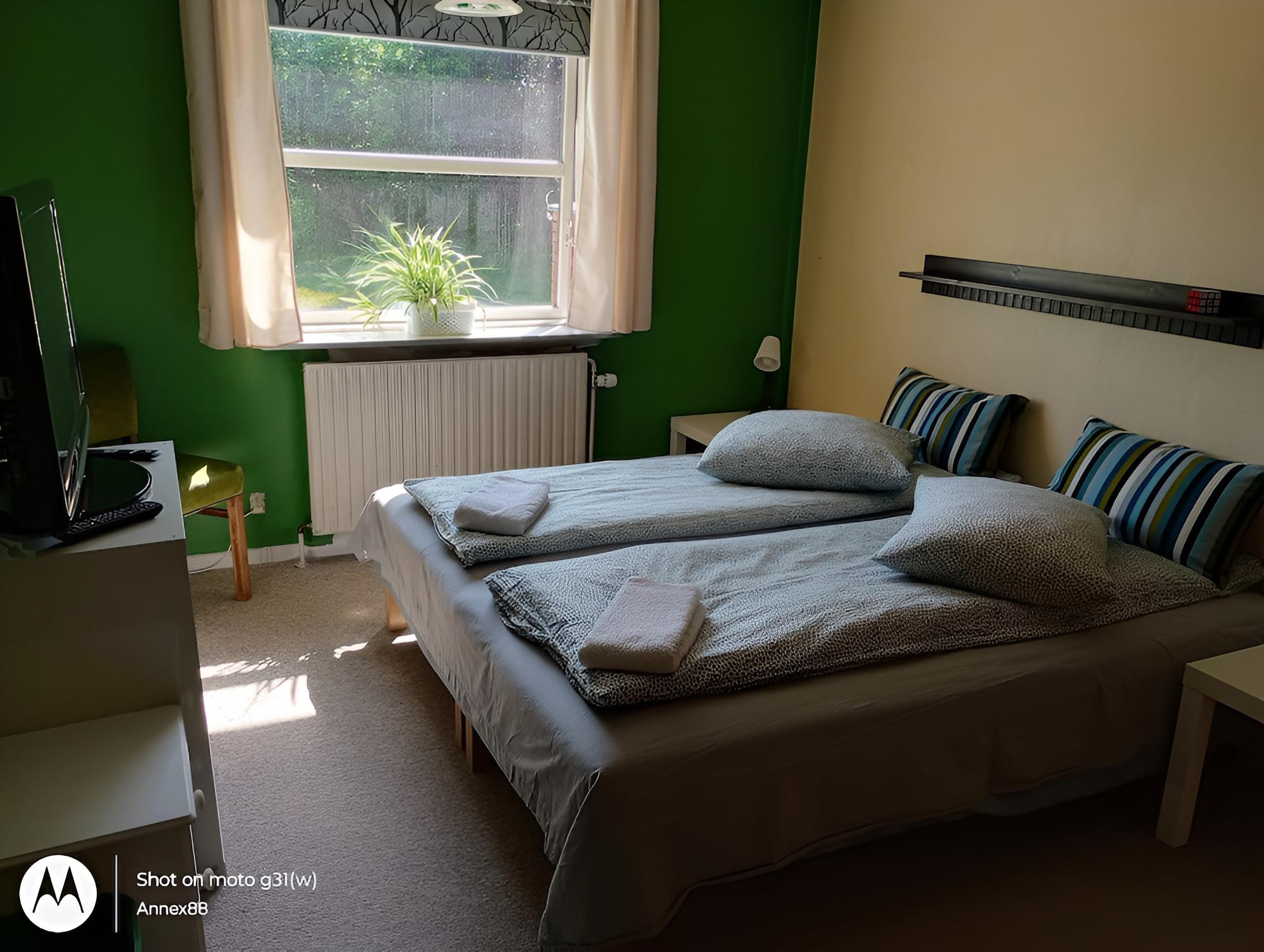 Basic Room, 1 King Bed, Non Smoking, Lake View photo 2