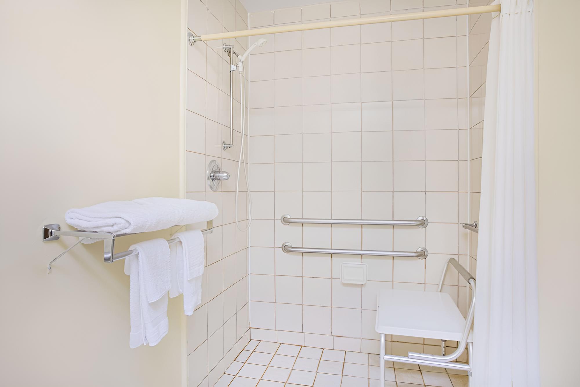 Room, 1 King Bed, Accessible, Non Smoking (Mobility Accessible) photo 3
