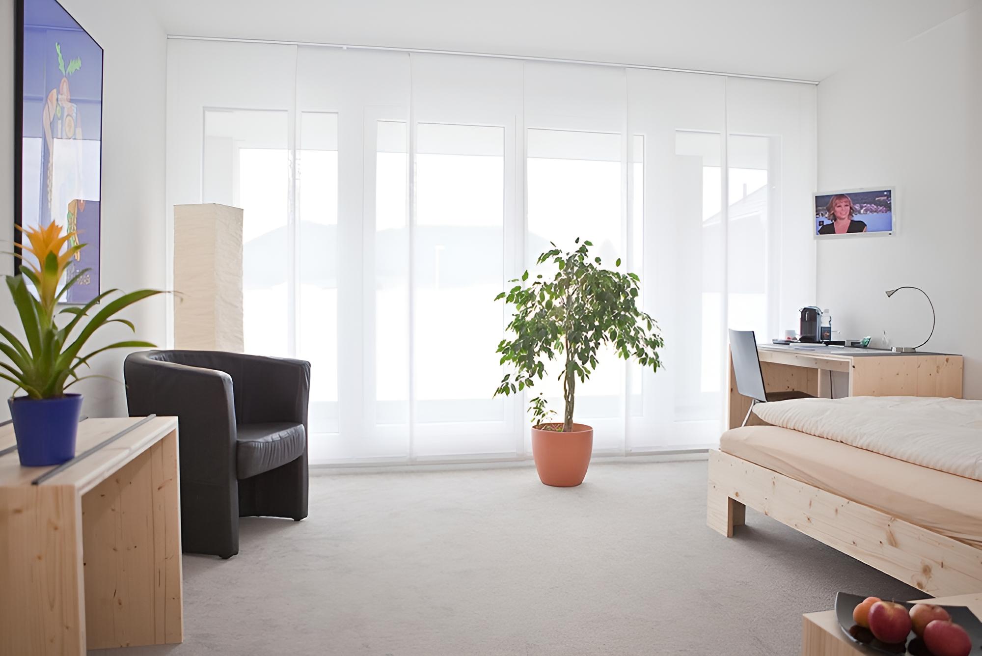 Single Room, Non Smoking, Mountain View