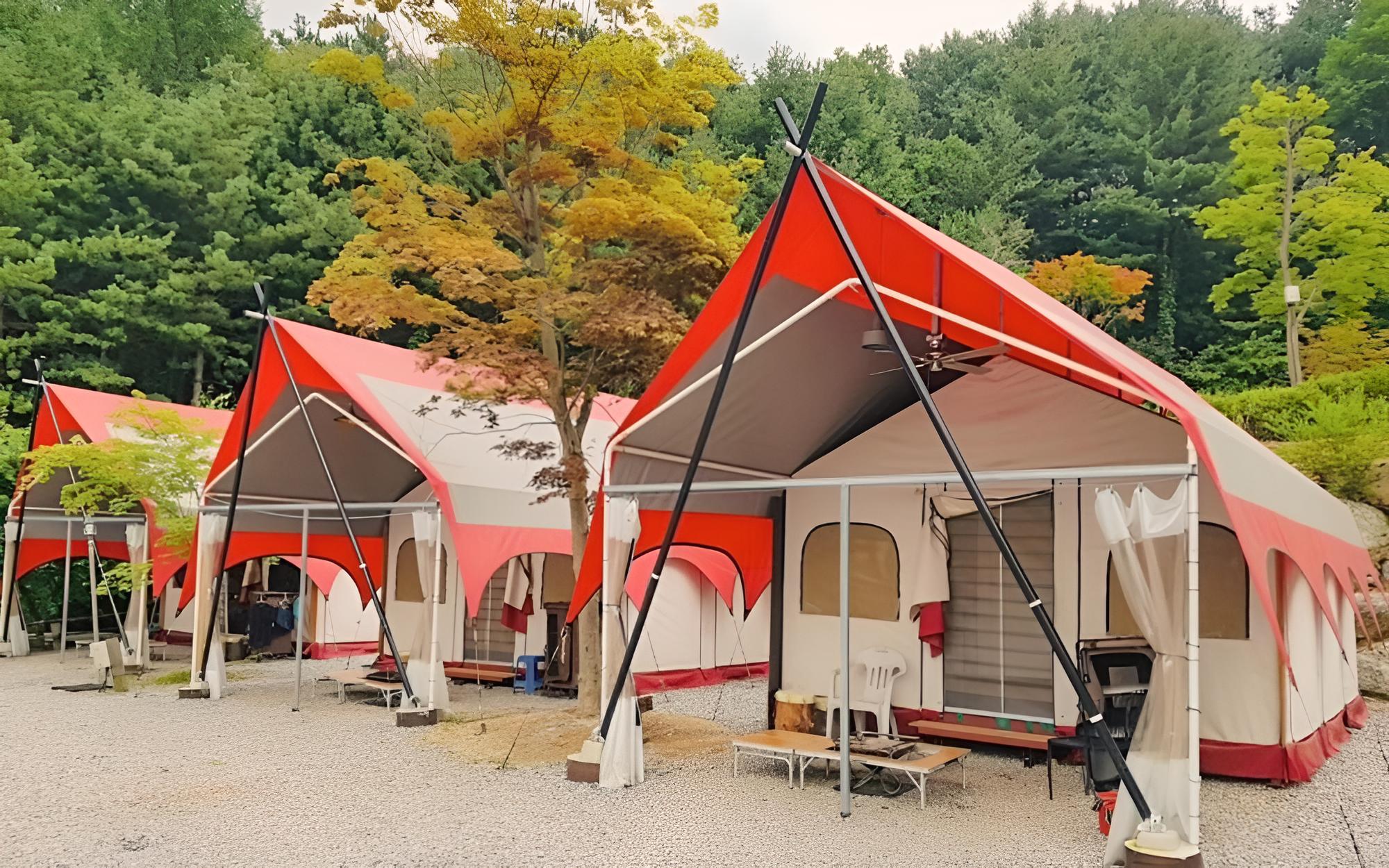Room (Family-only glamping)