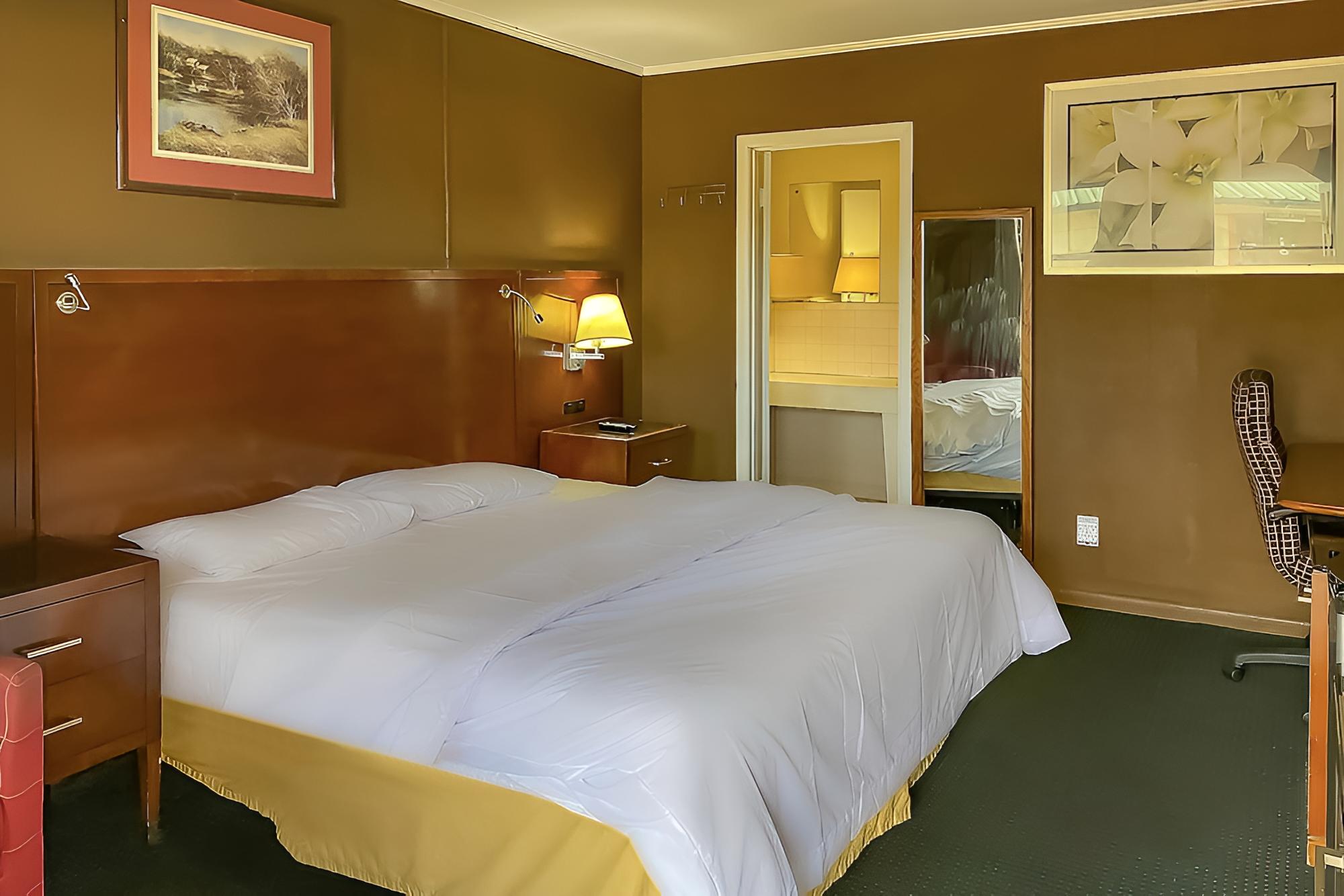 Room, 1 King Bed, Smoking