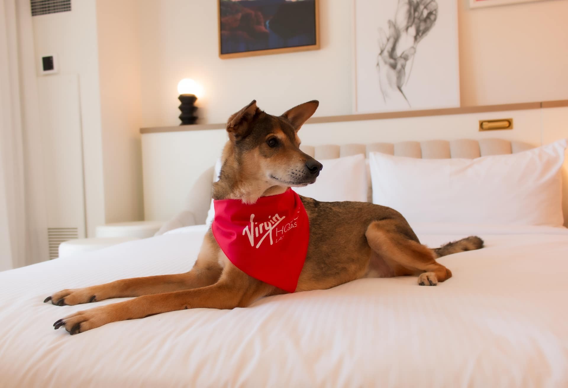 Ruby 1 King Grand Dog Corner Chamber Suite