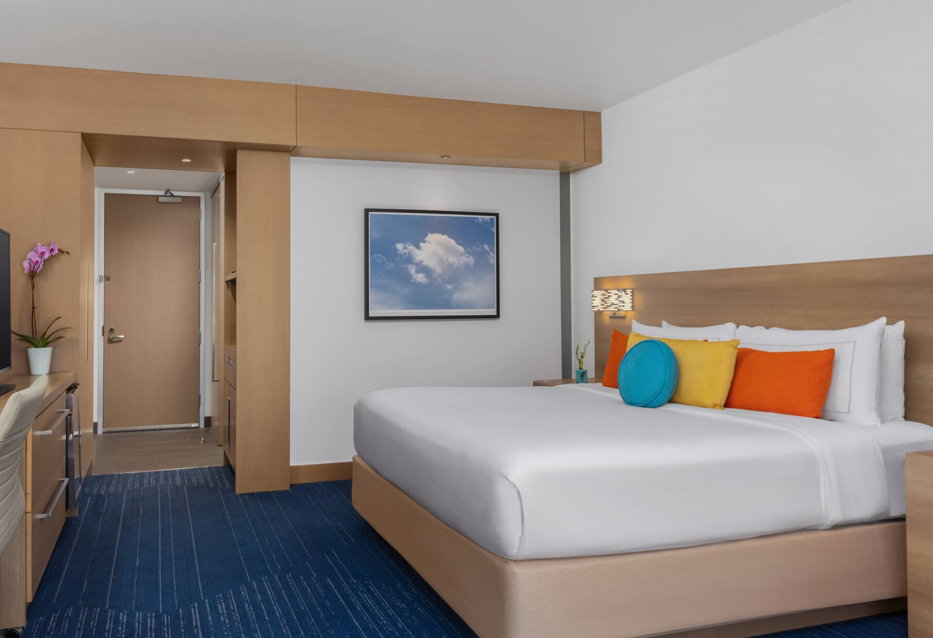 1 King Bed