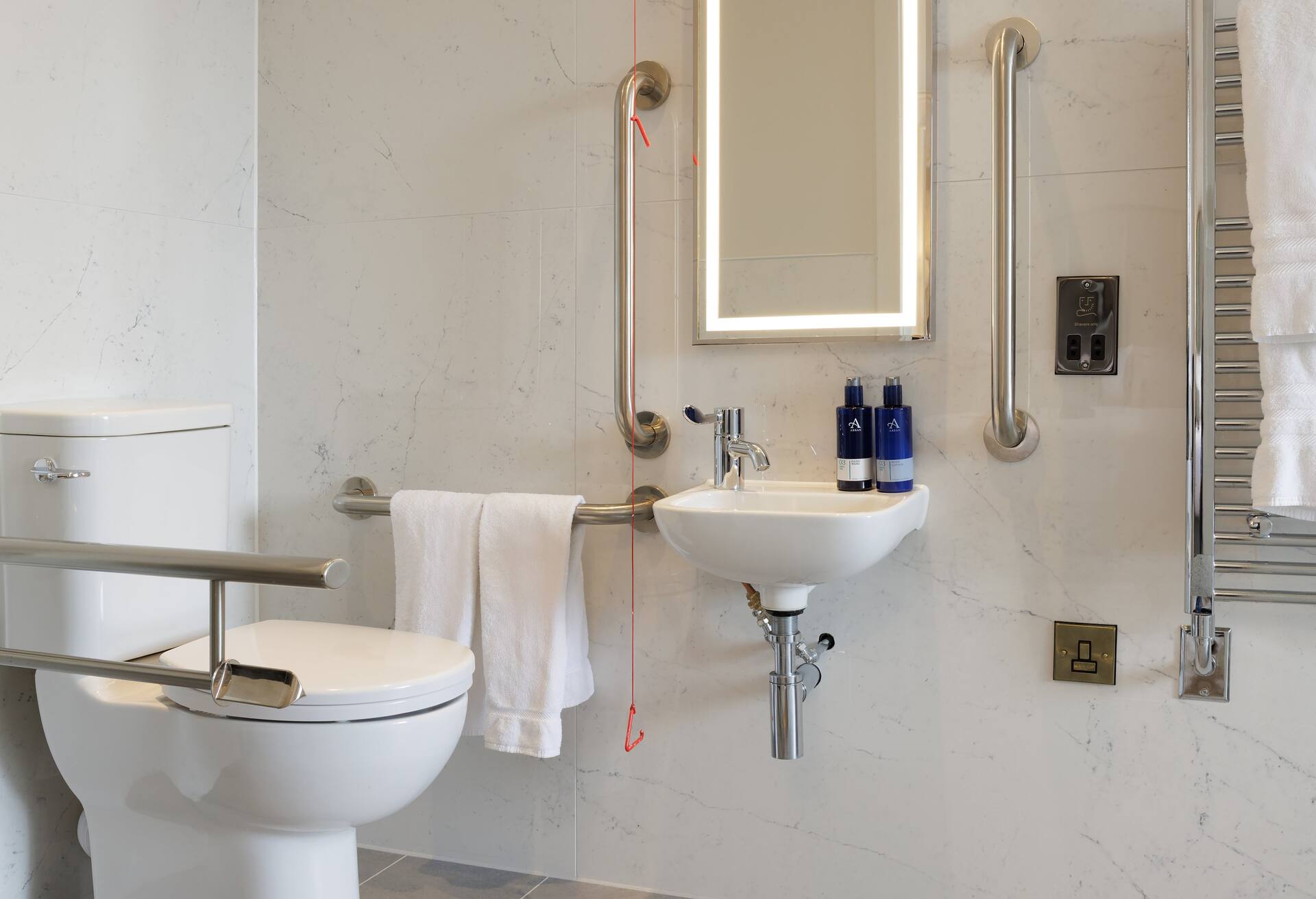 King Accessible Deluxe Room photo 3