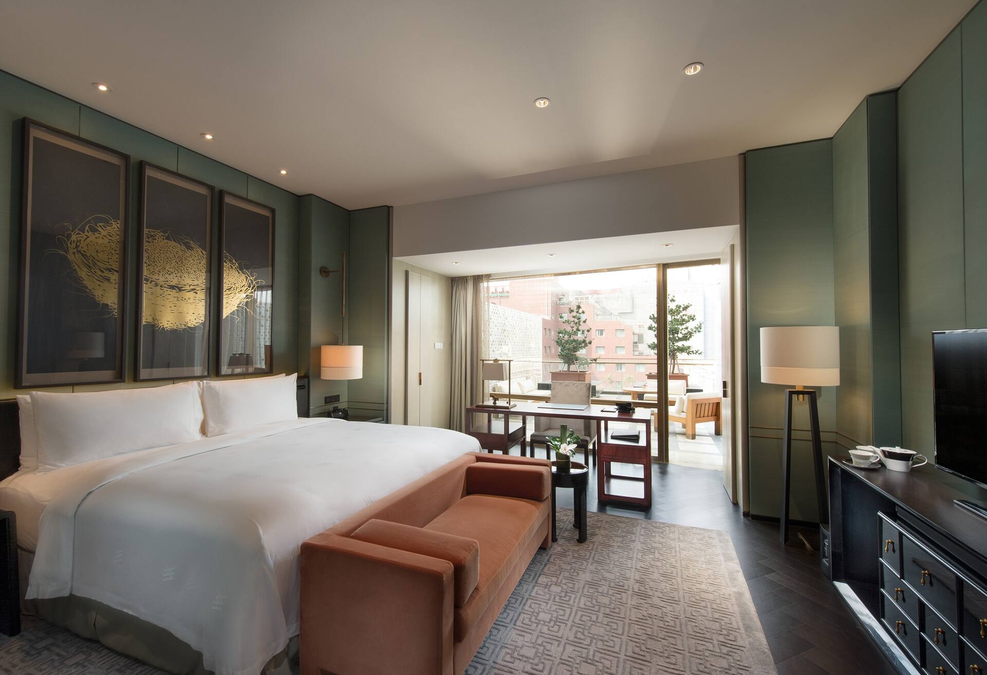 King Premier Terrace Room photo 1