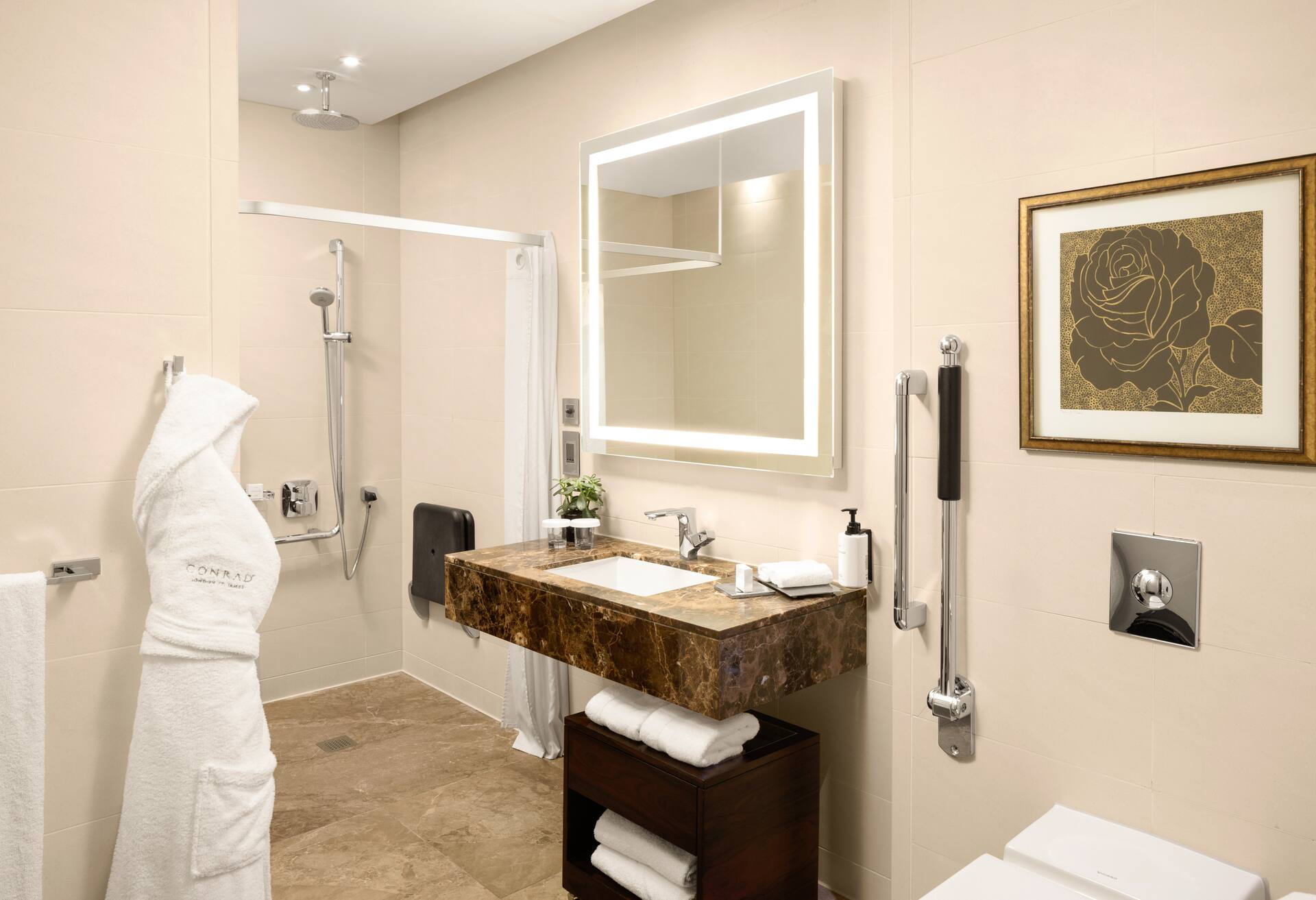 King Executive Accessible with Lounge Access thumbnail 5